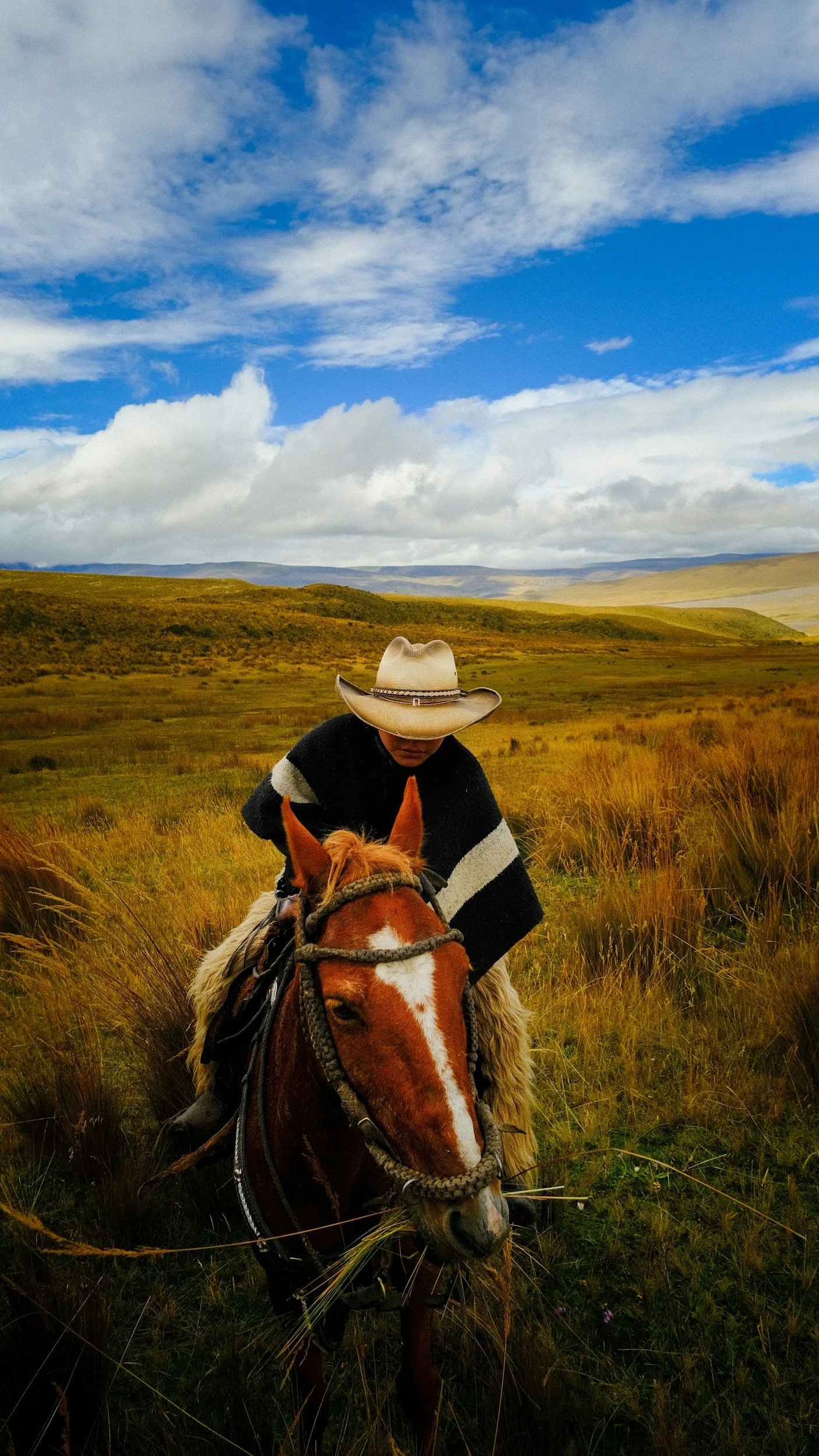 A person riding a horse in a grassy, open field with mountains and a partly cloudy sky in the background.