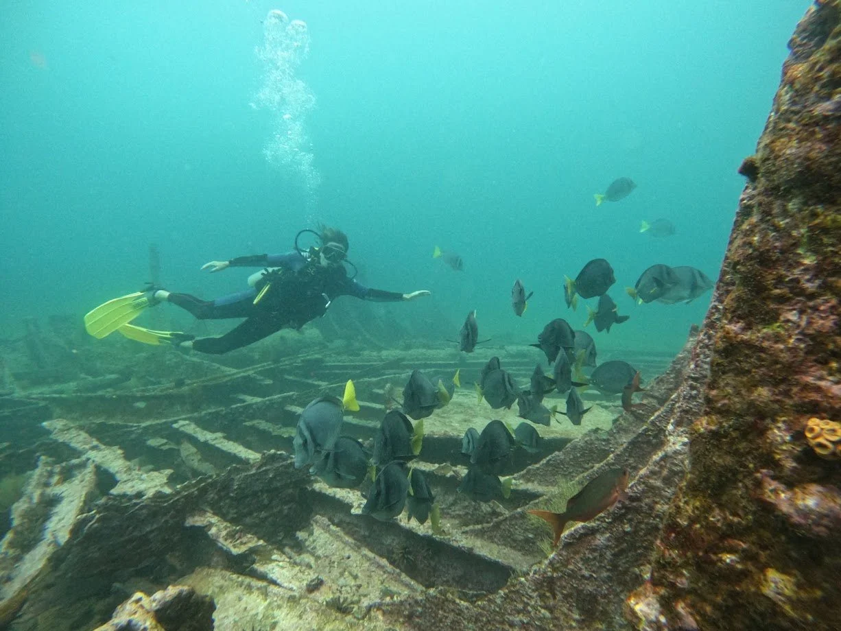 A scuba diver swimming among fish near a sunken shipwreck underwater.