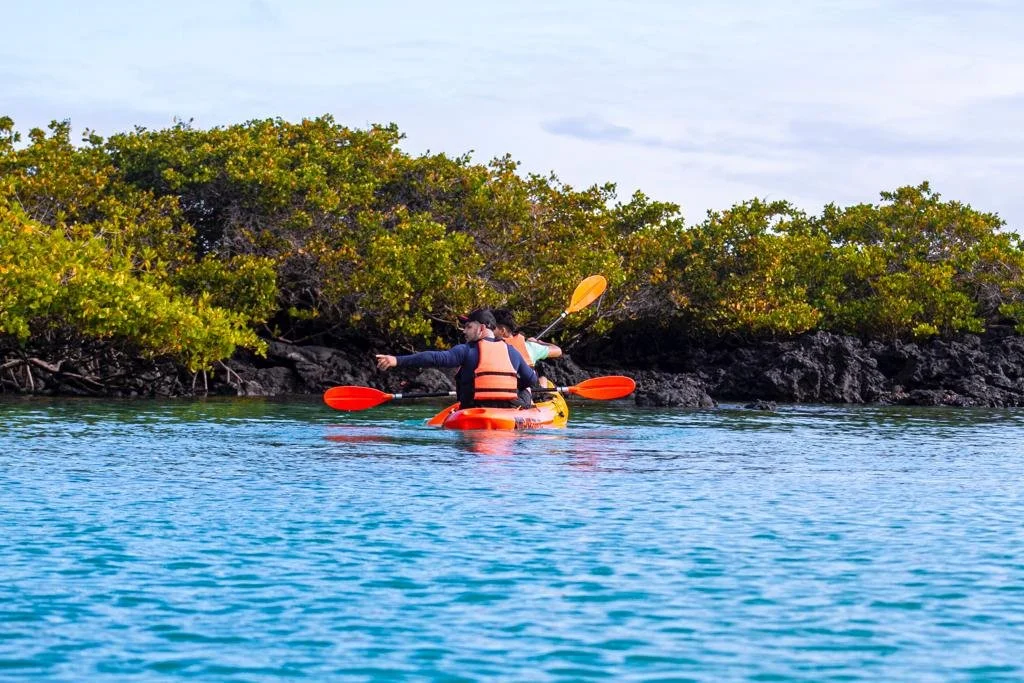 Two people kayaking to Isabela island, Tintoreras Islet, Galapagos