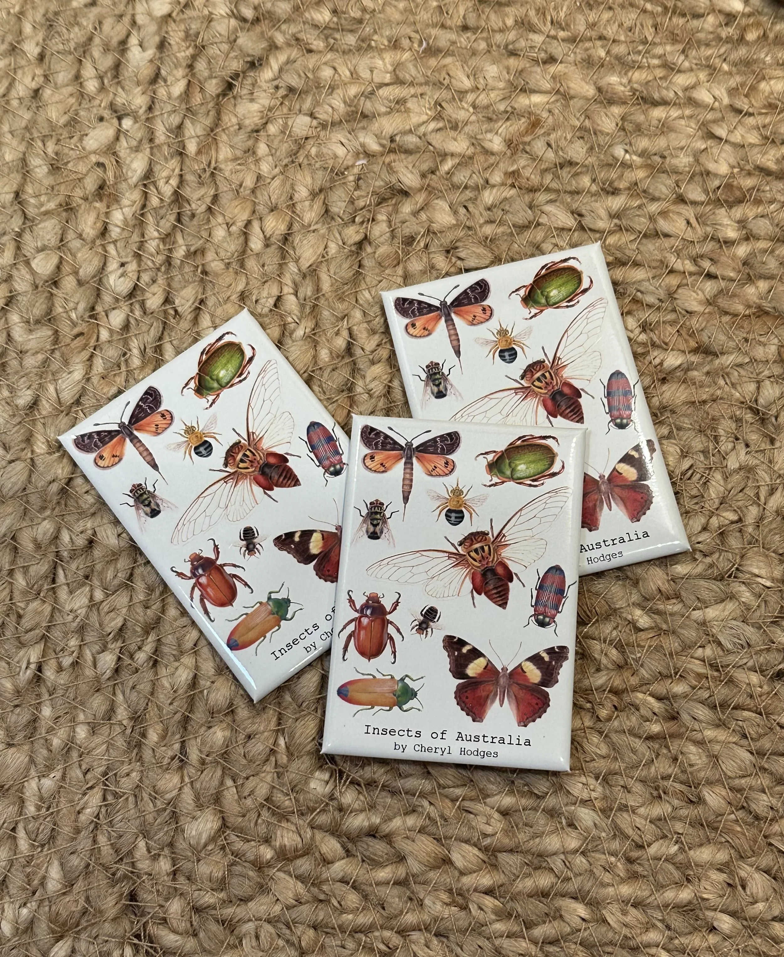 insect magnet pic 1.jpeg