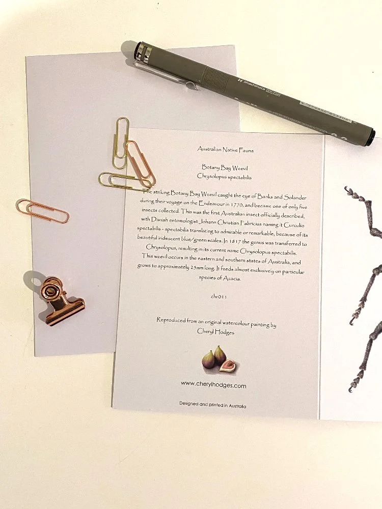 botany-bay-card-reverse.jpg