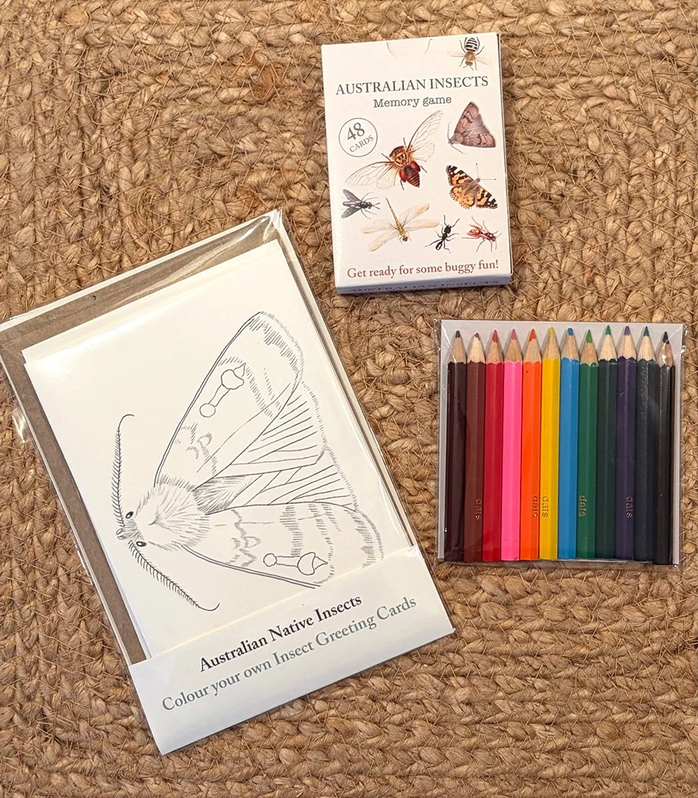 insect memory game bundle pic 1.jpg