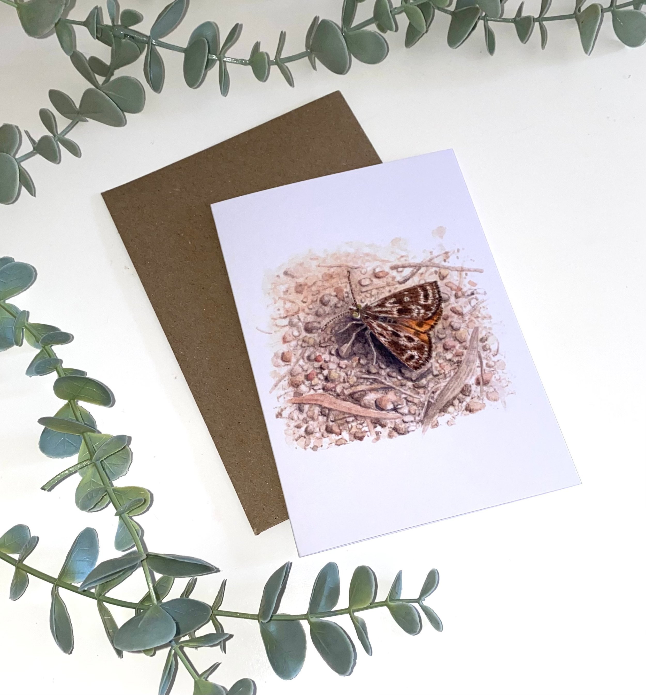 Golden Sun Moth greeting card