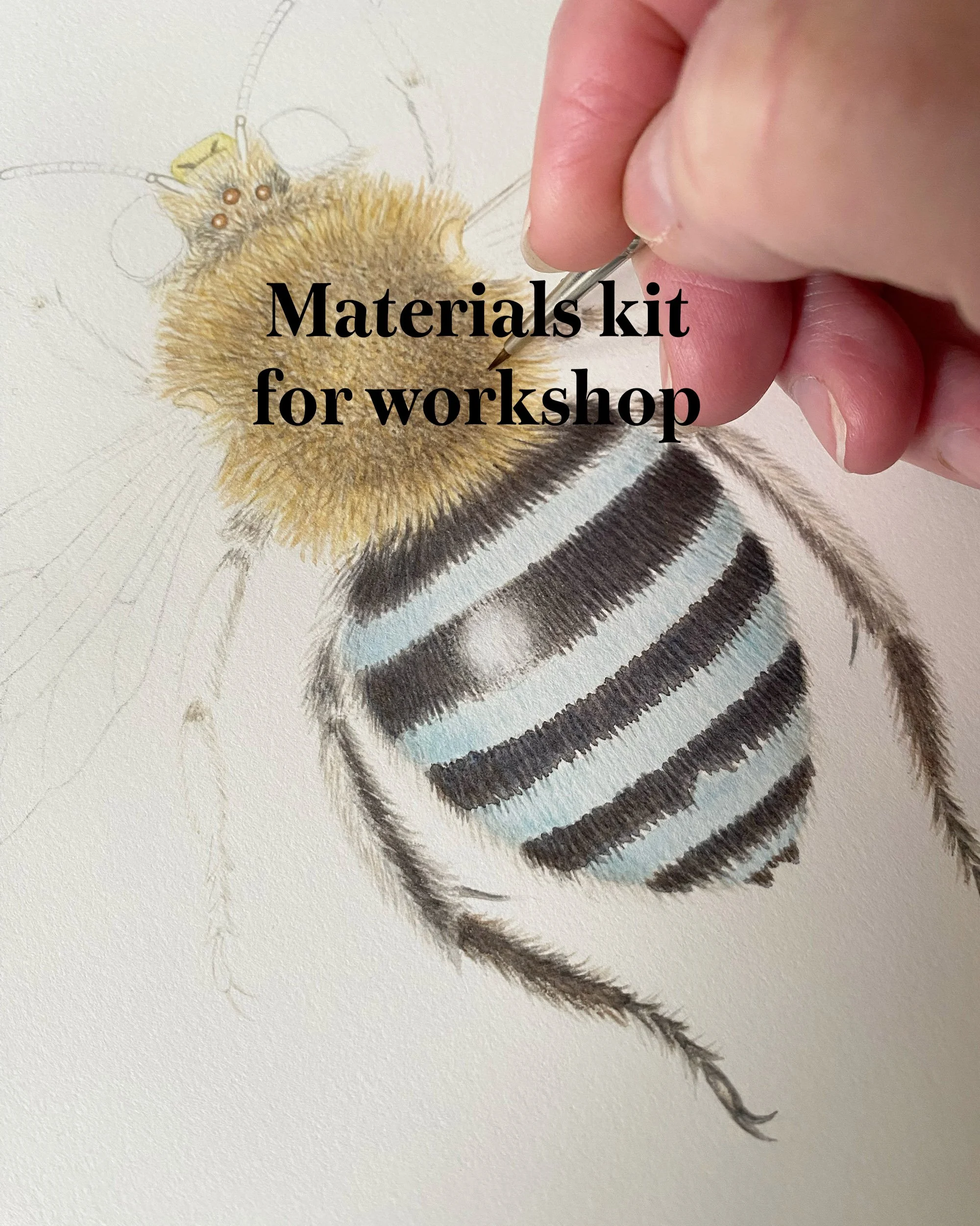 materials kit pic for website.jpg