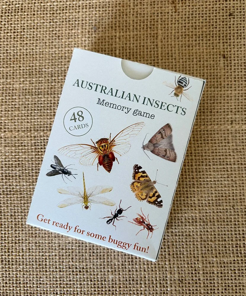 Australian Insects Memory Game - PRE-ORDER with bonus button pin