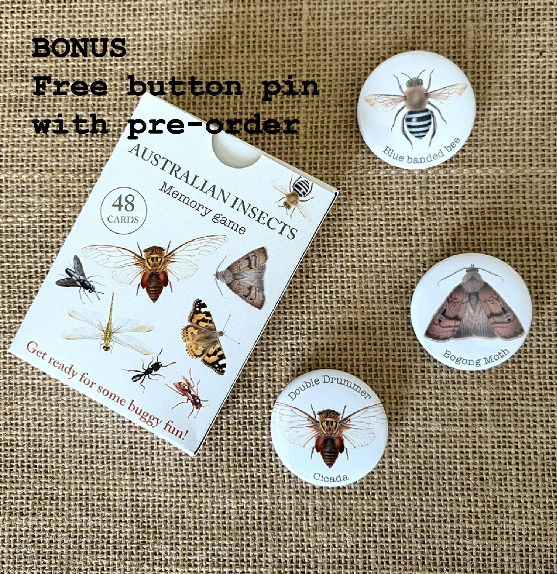 insect memory card image with pins.jpg