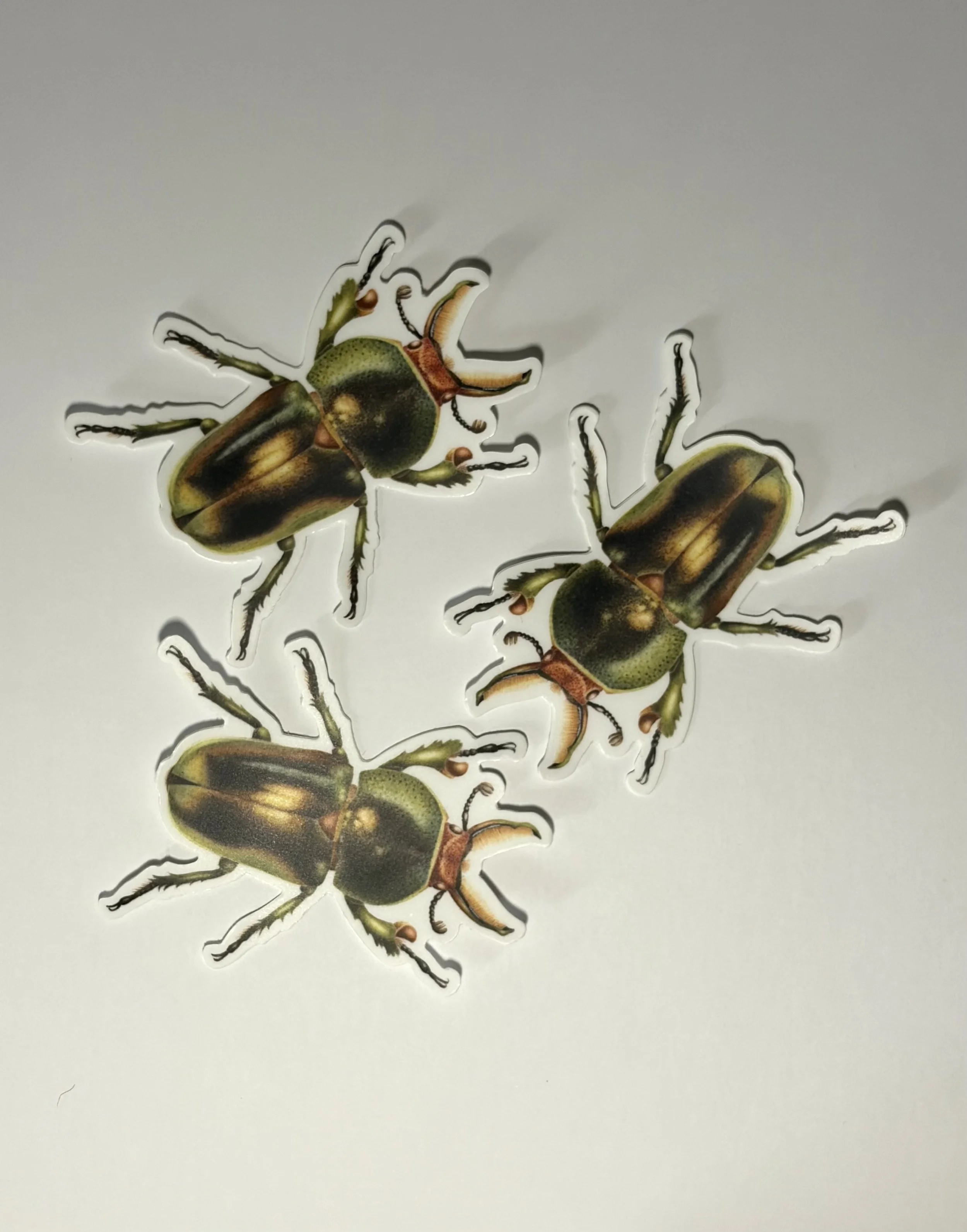 green_stag_beetle_sticker 3.jpeg