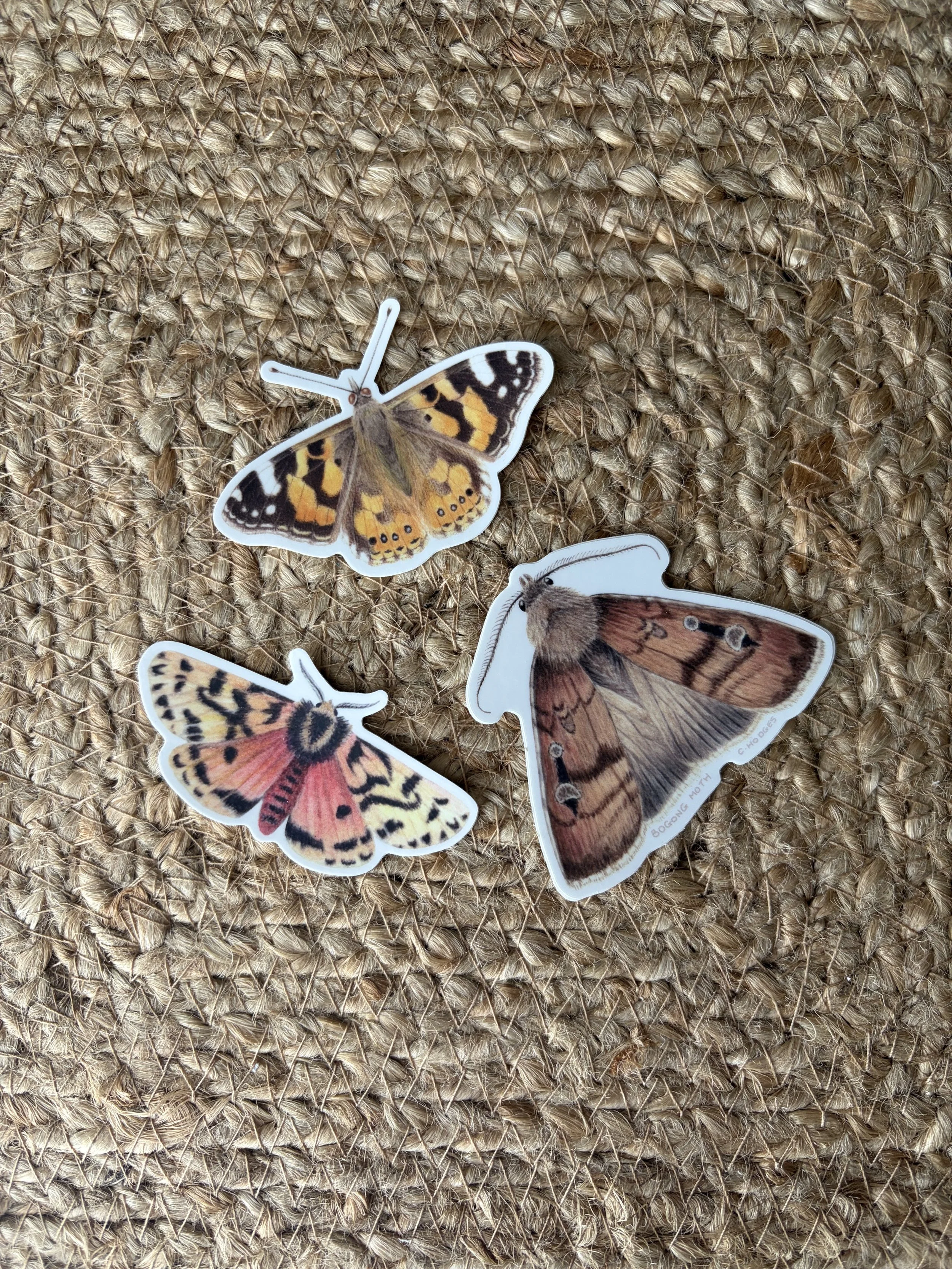 Stickers set of 3, Painted Lady Butterfly, Crimson Tiger Moth, Bogong Moth, Australian insects