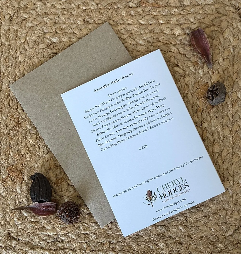 insects card beige 3.jpg