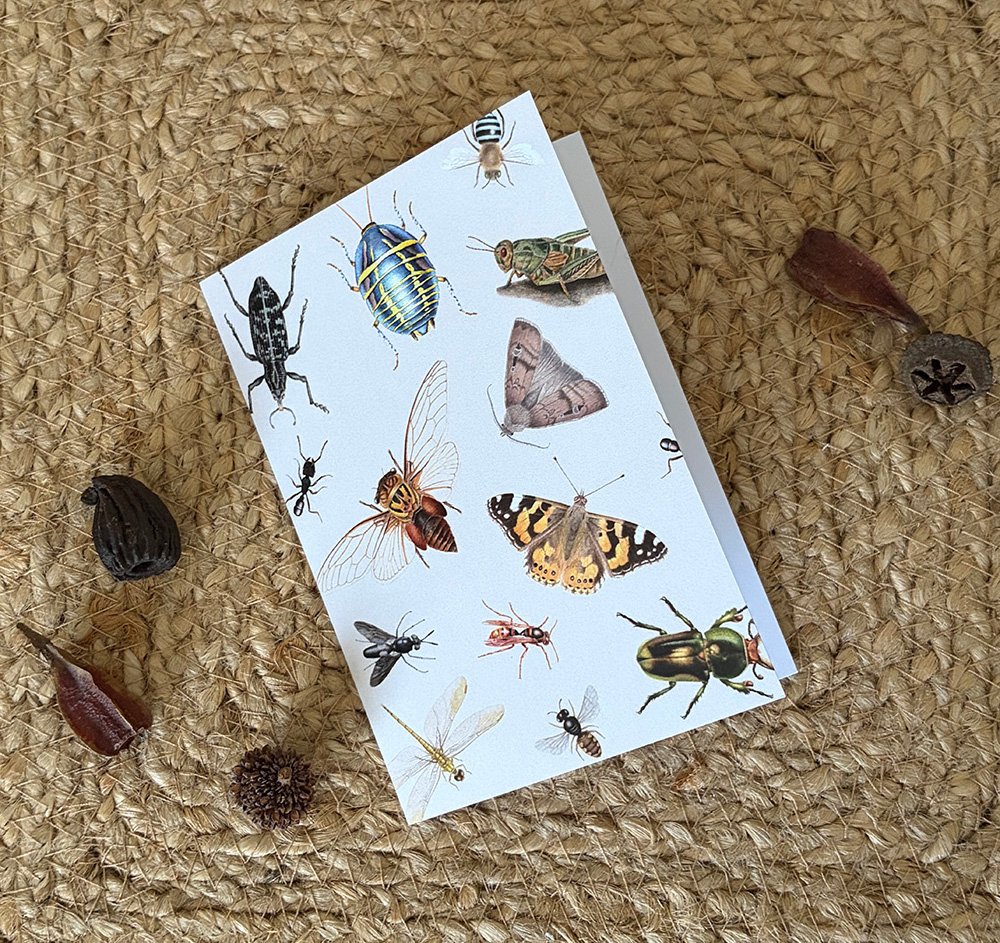 insects card beige 1.jpg
