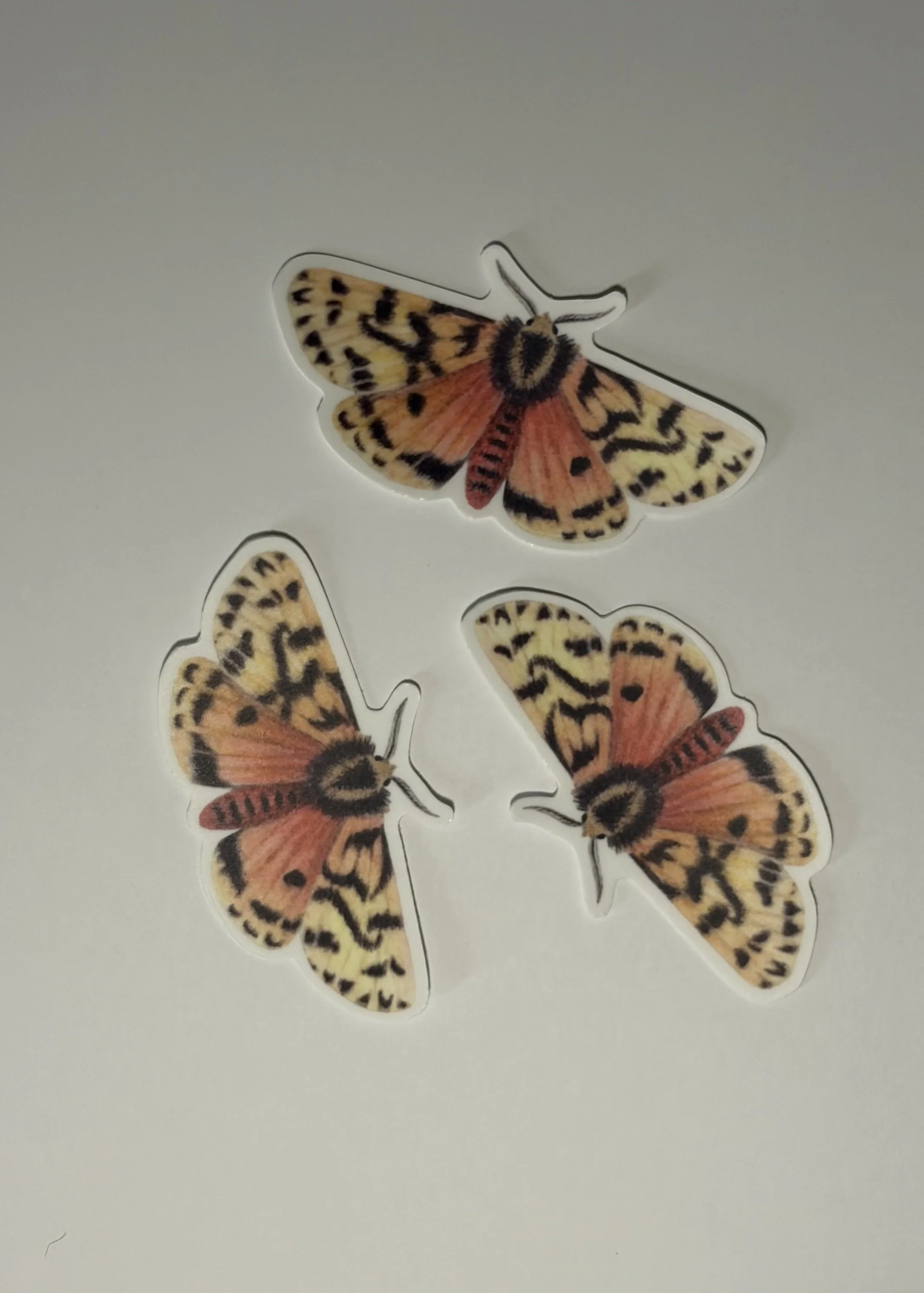 crimson_tiger_moth_sticker 2.jpeg