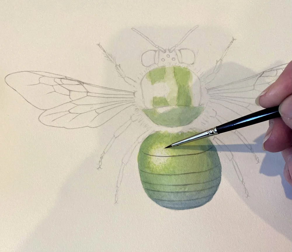 xylocopa wip workshop 2.jpg