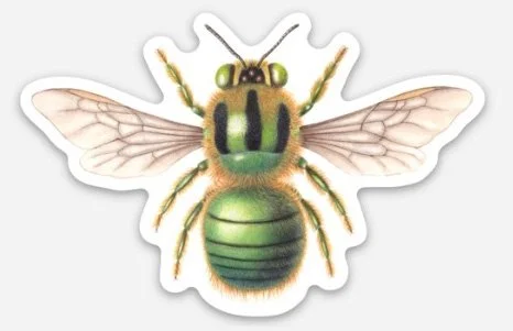 xylocopa aeratus etsy sticker.jpg