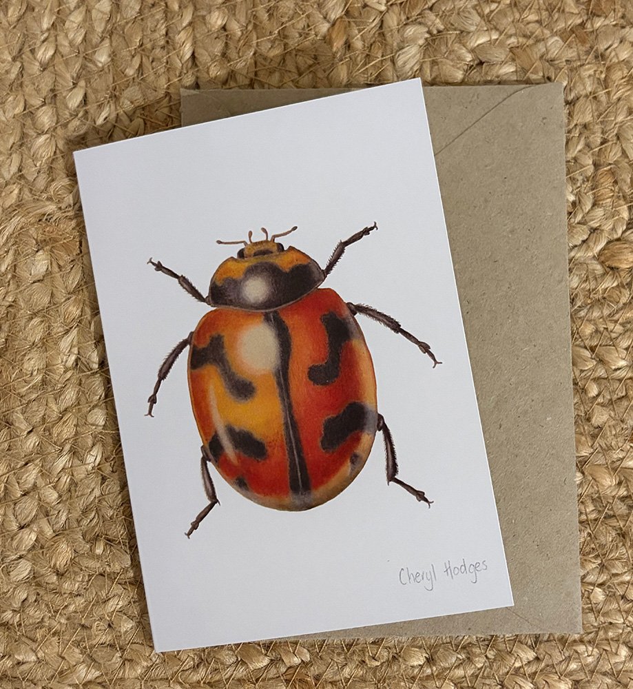 ladybird card 1.jpg