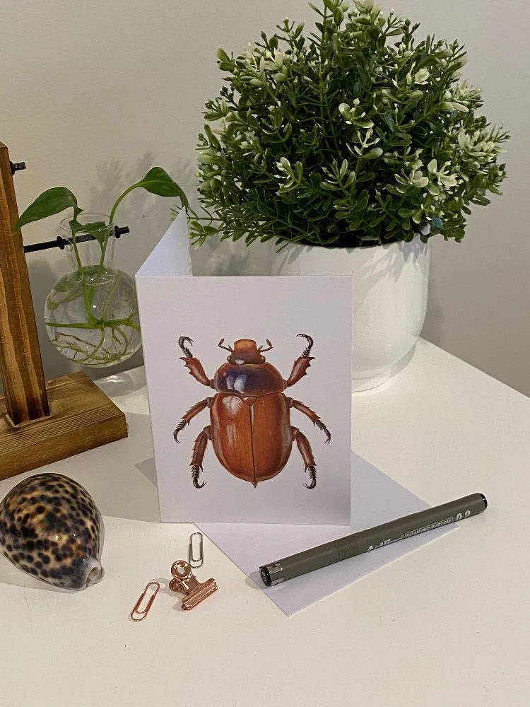 anoplognathus-montanus-card-photo.jpg