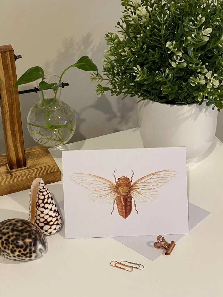 yellow-monday-cicada-card.jpg