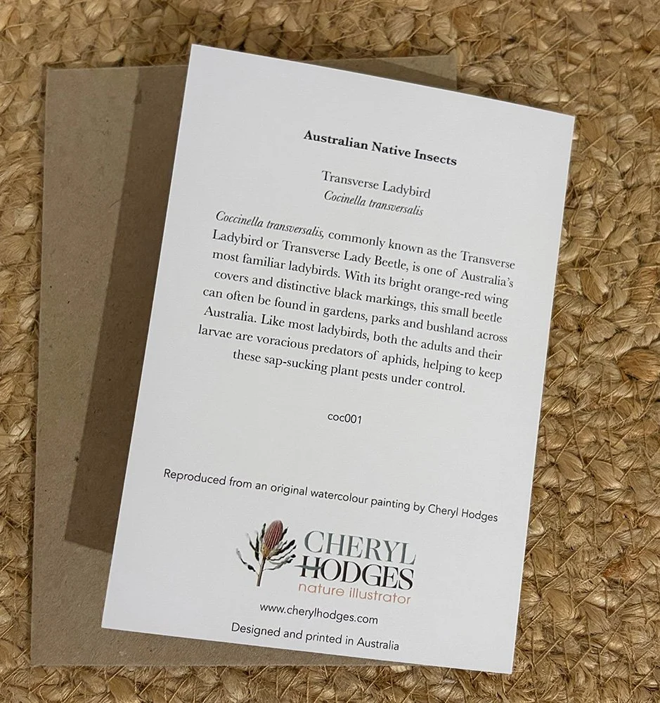 ladybird card 2.jpg