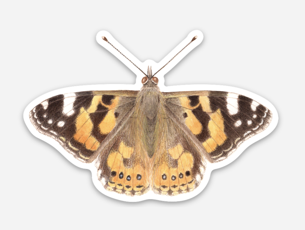 painted lady butterfly sticker 3.png