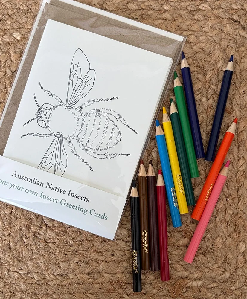 Colour Your Own Cards - Australian Insects 2