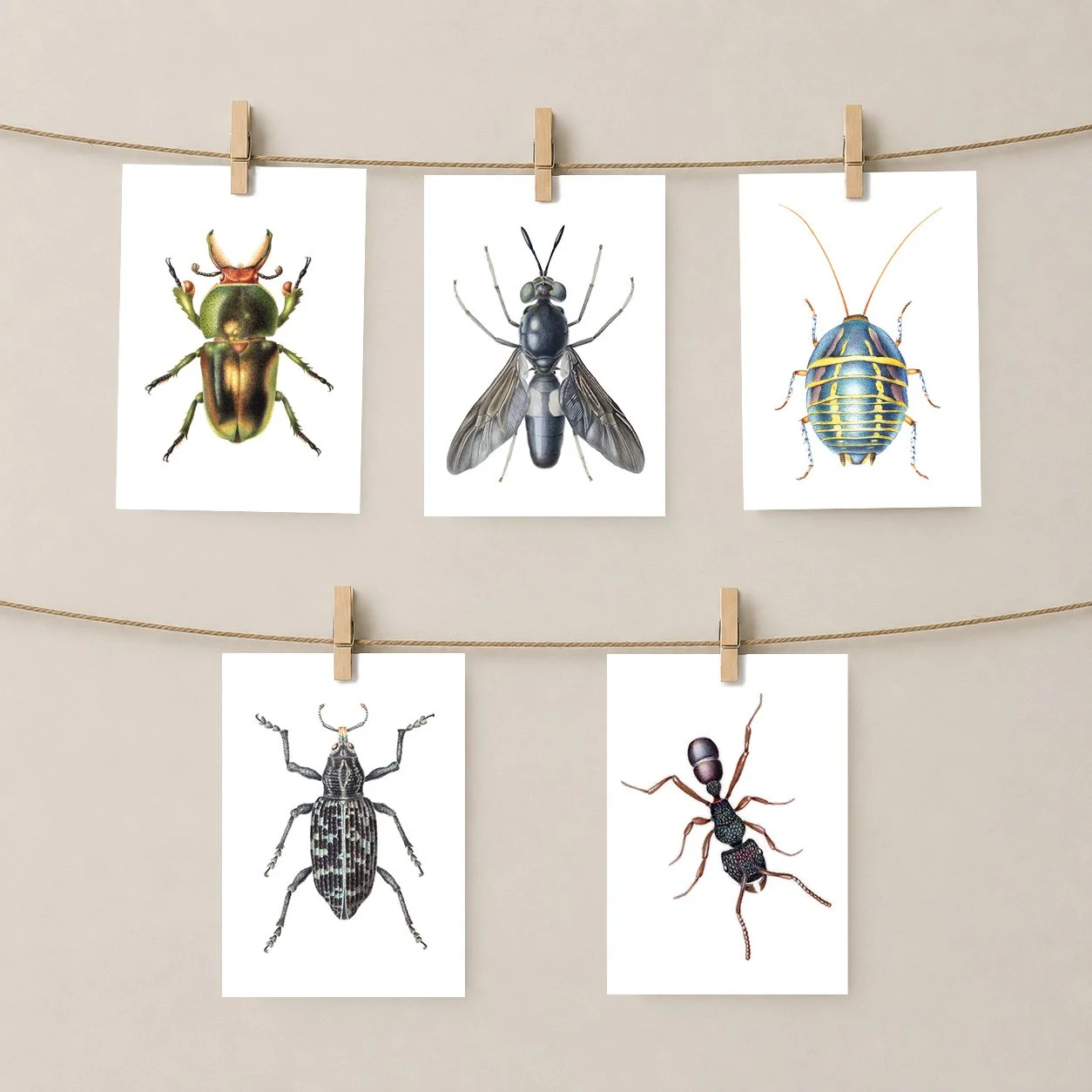 a5 print mockups 5 insect prints.jpg