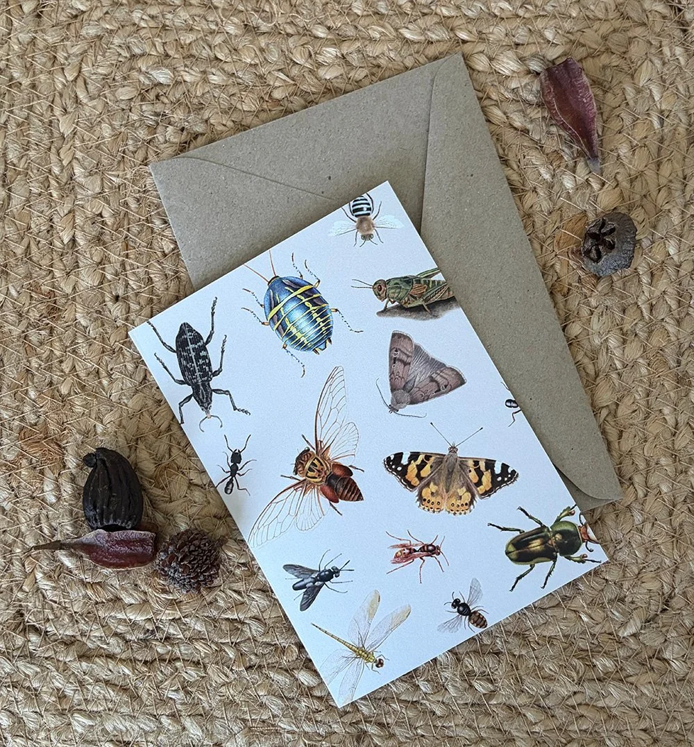 insects card beige 2.jpg