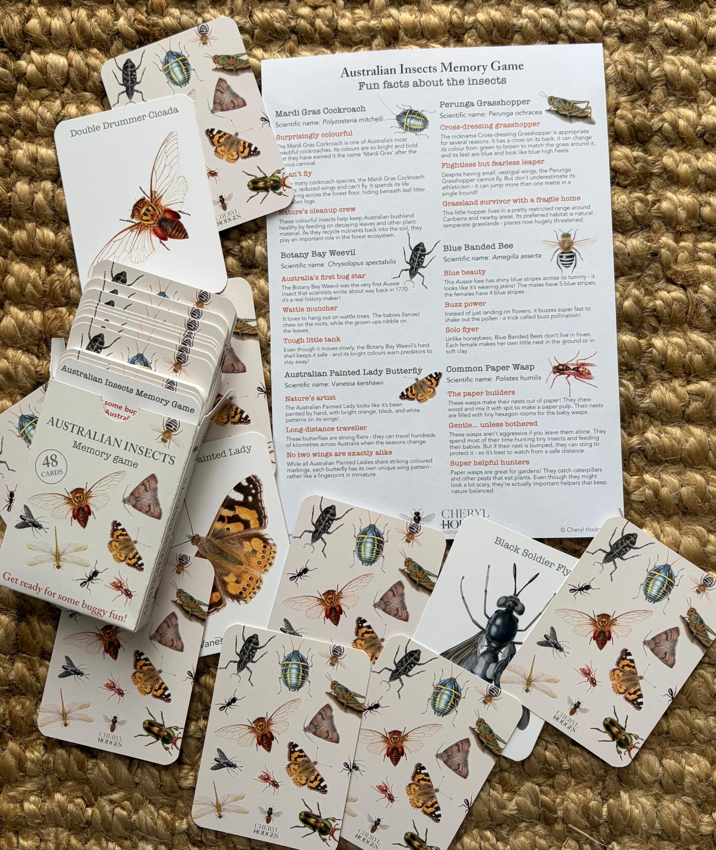 insect memory card photo 5.jpg