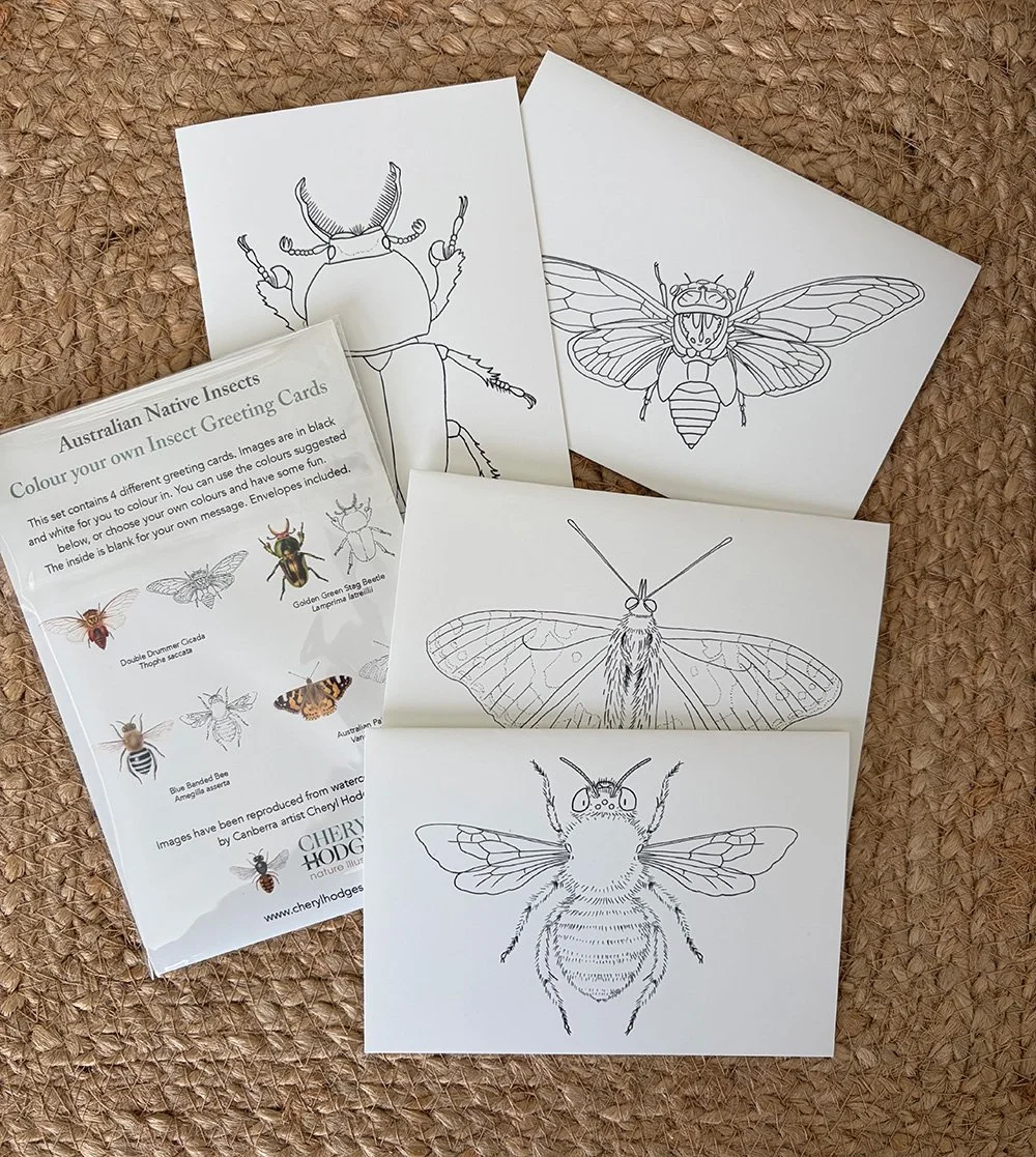 photo colouring card set insects 3.jpg