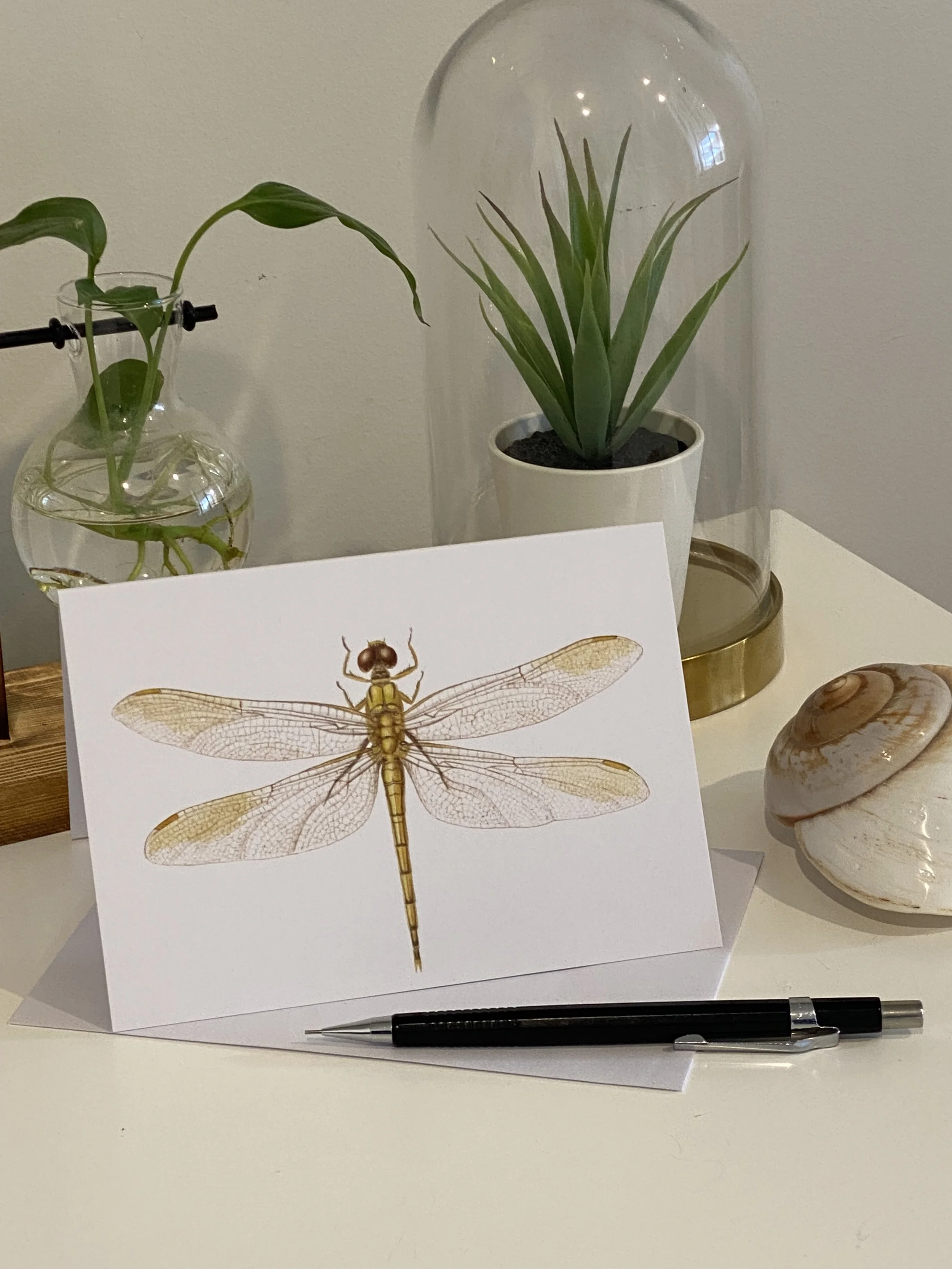 dragonfly card1.jpeg