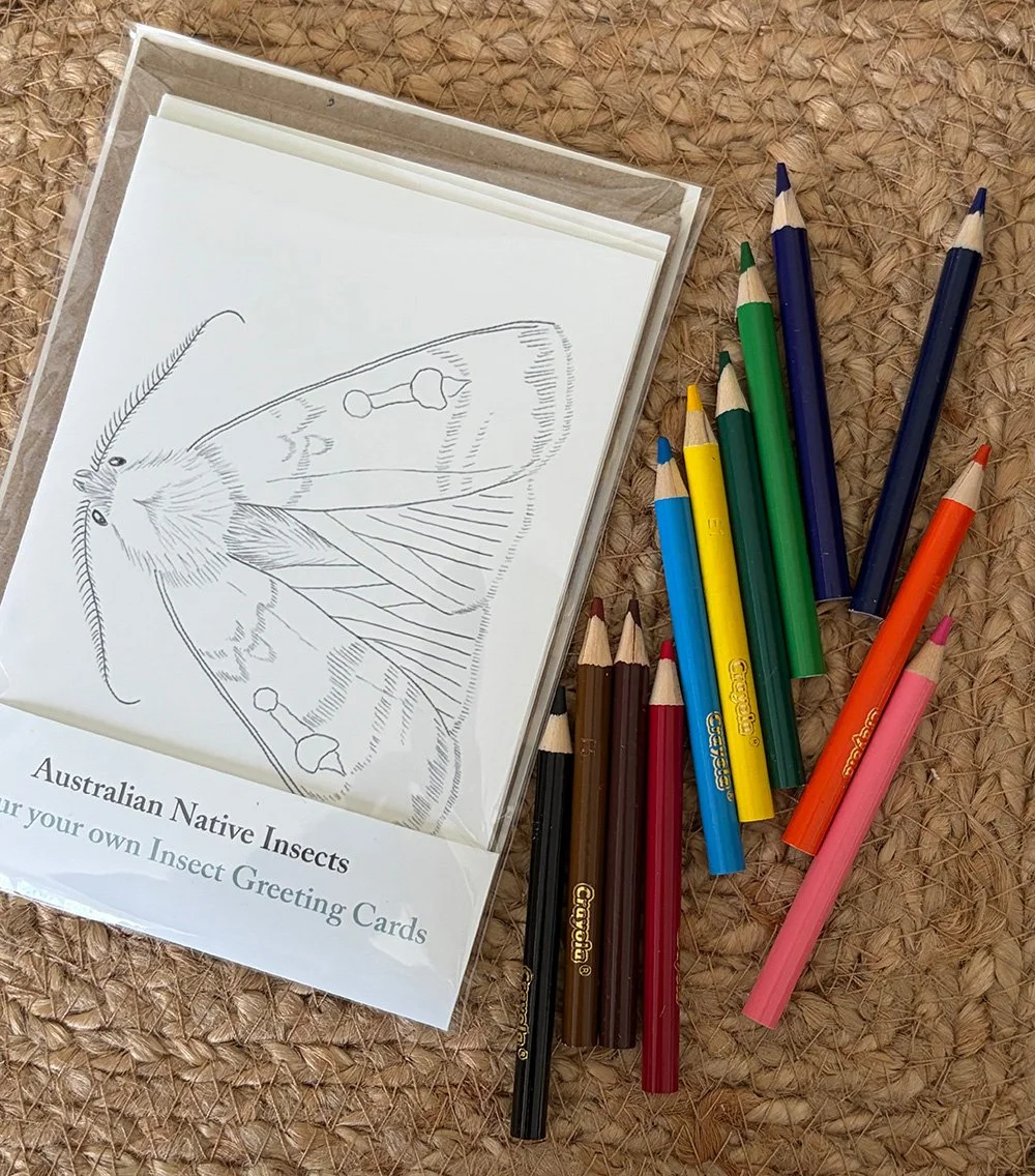 Colour Your Own Cards - Australian Insects