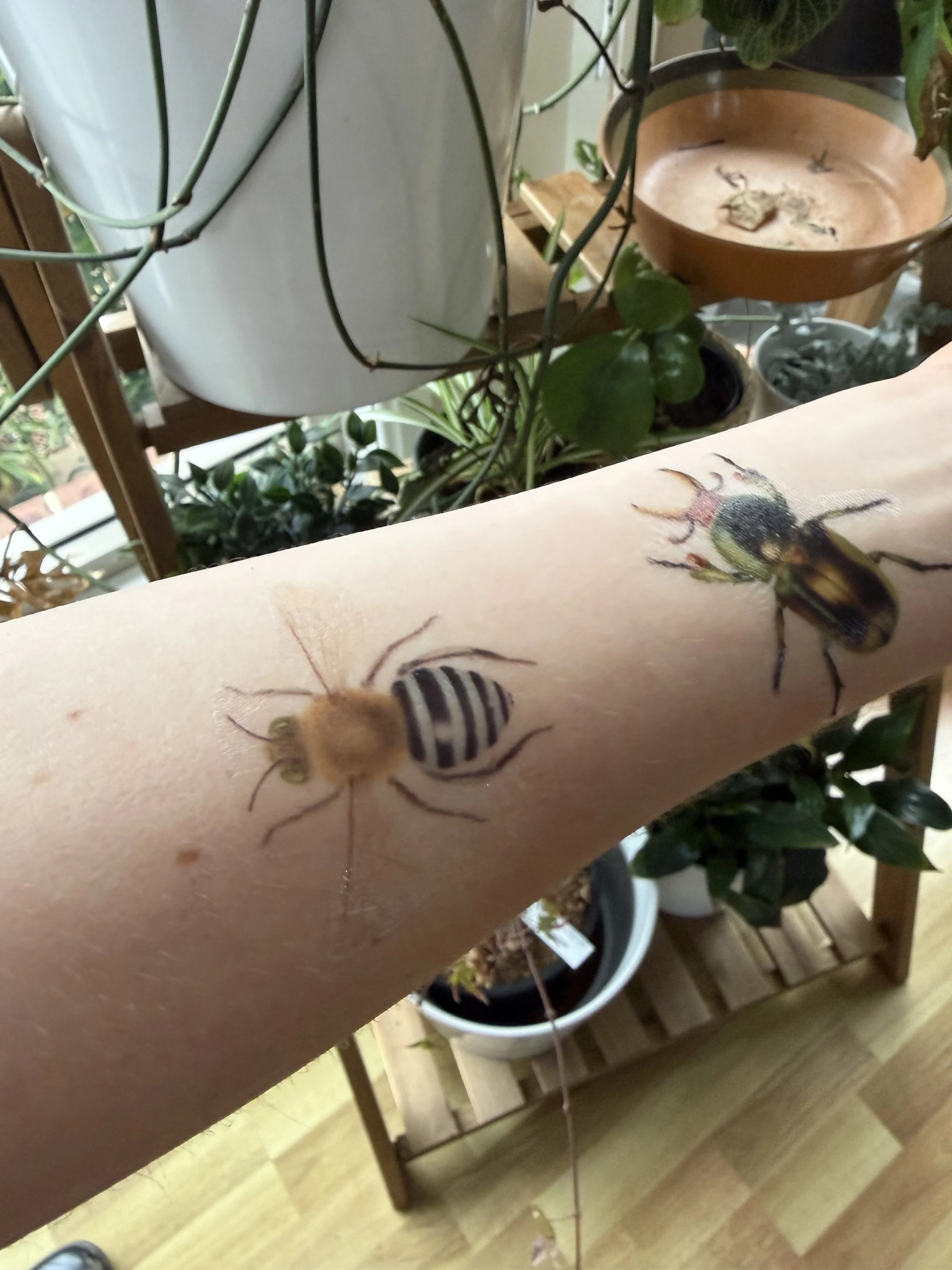 tattoo sheet photo 7.jpeg