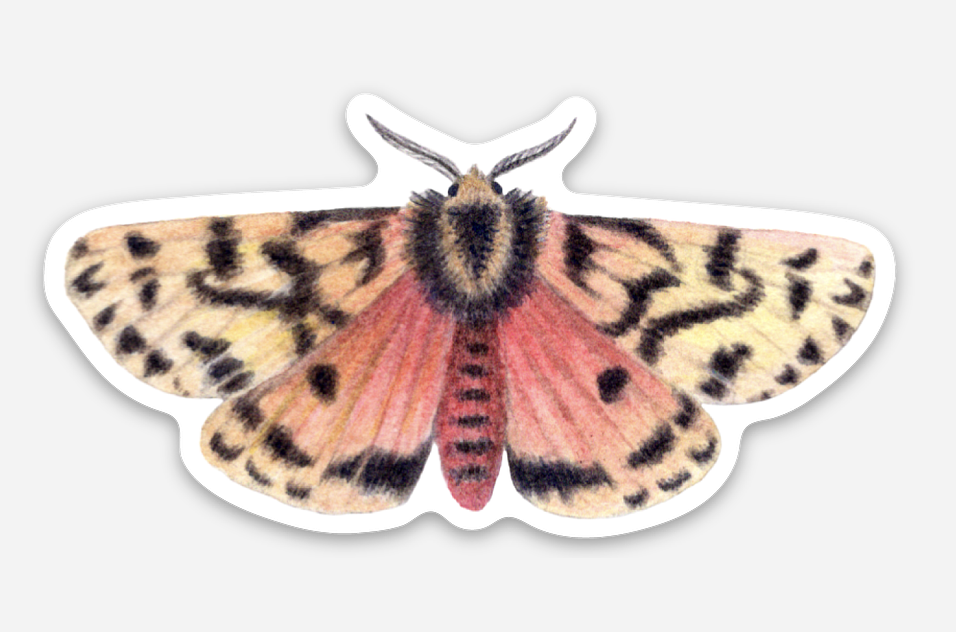 crimson tiger moth sticker 3.png