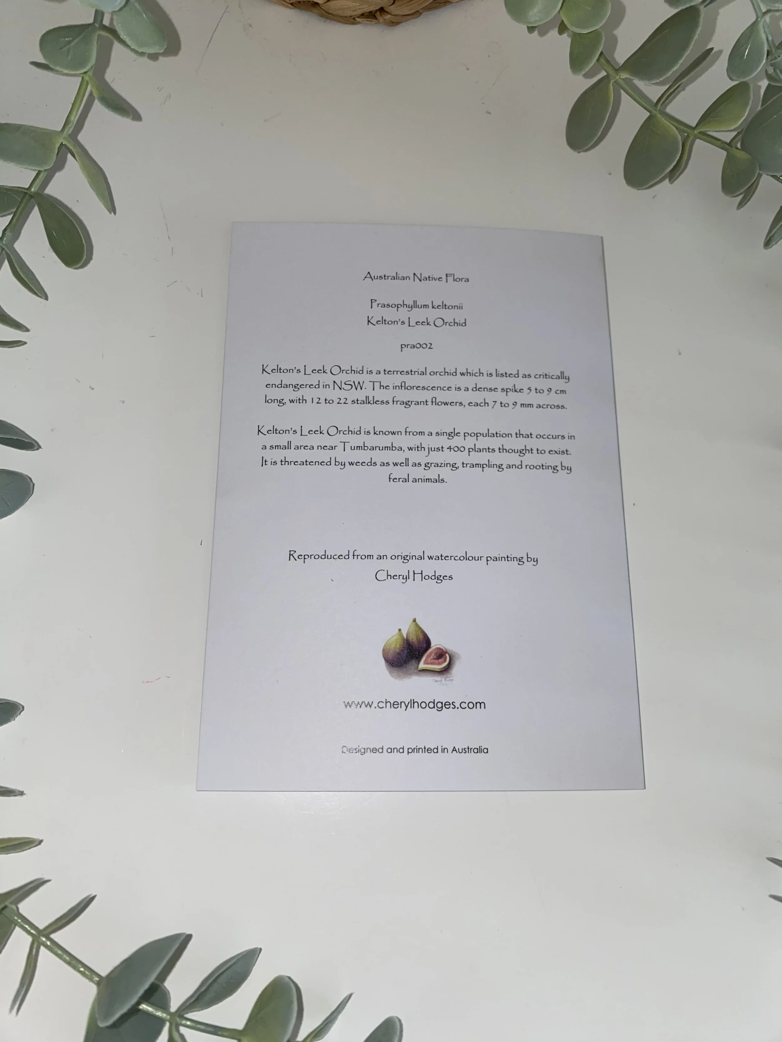 keltons leek orchid card2.jpeg