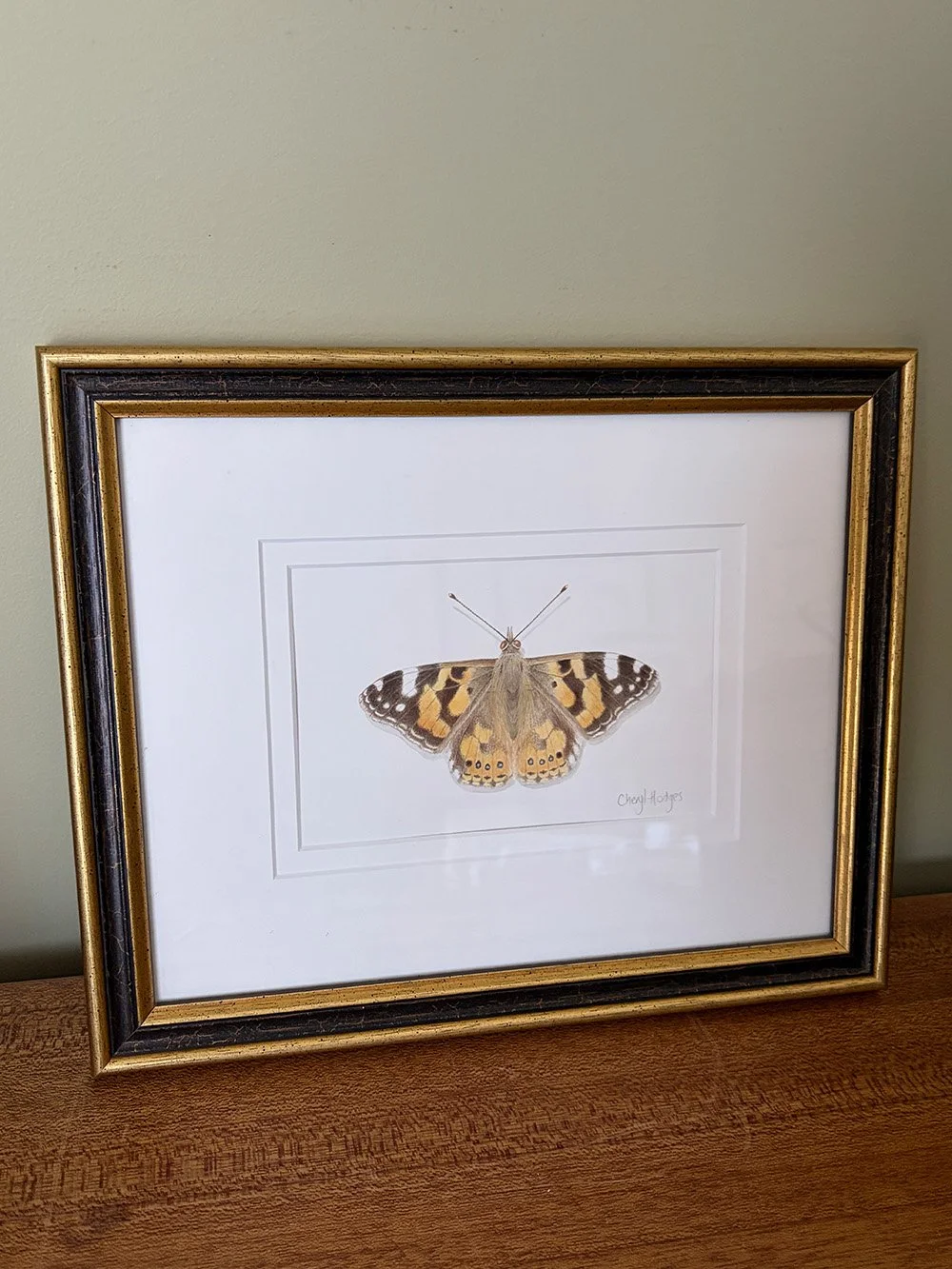 Original watercolour painting - Australian Painted Lady - Vanessa kershawi