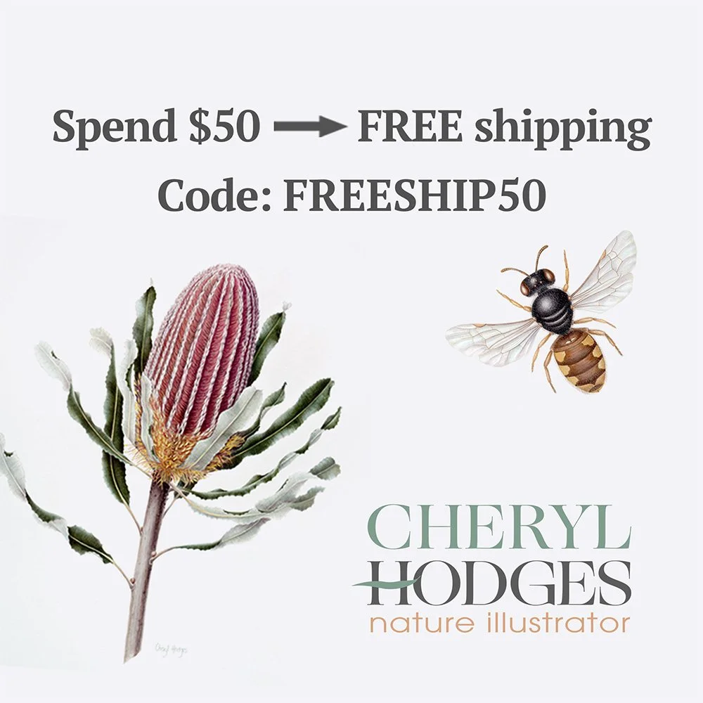 website free shipping list image square.jpg