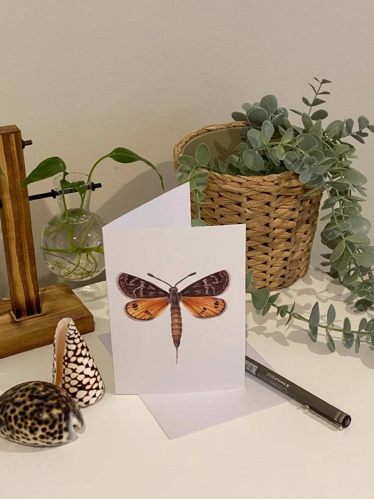 golden-sun-moth-card-1.jpg