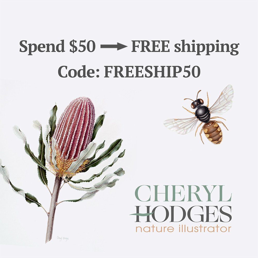 website free shipping list image square.jpg
