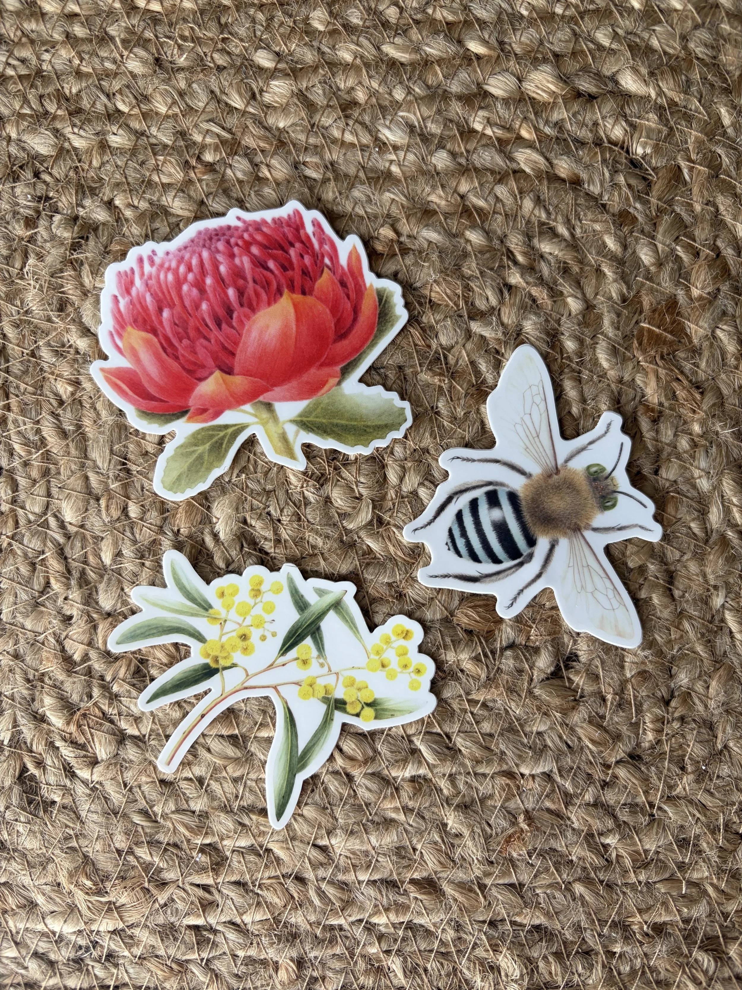 Stickers set of 3, Waratah, Golden Wattle, Blue Banded Bee Australian native plants and insects