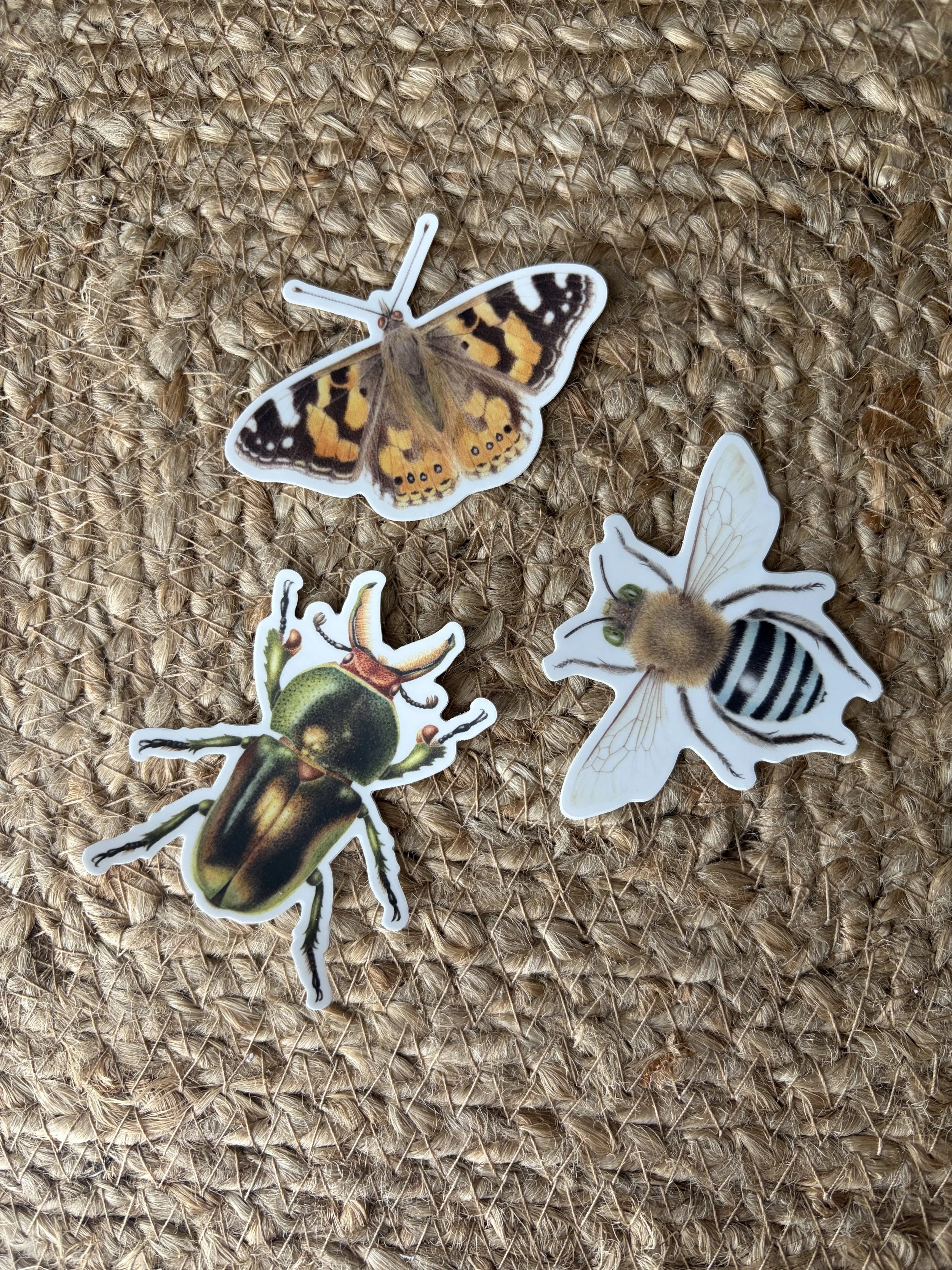 Stickers set of 3, Blue Banded Bee, Golden Green Stag Beetle, Painted Lady Butterfly