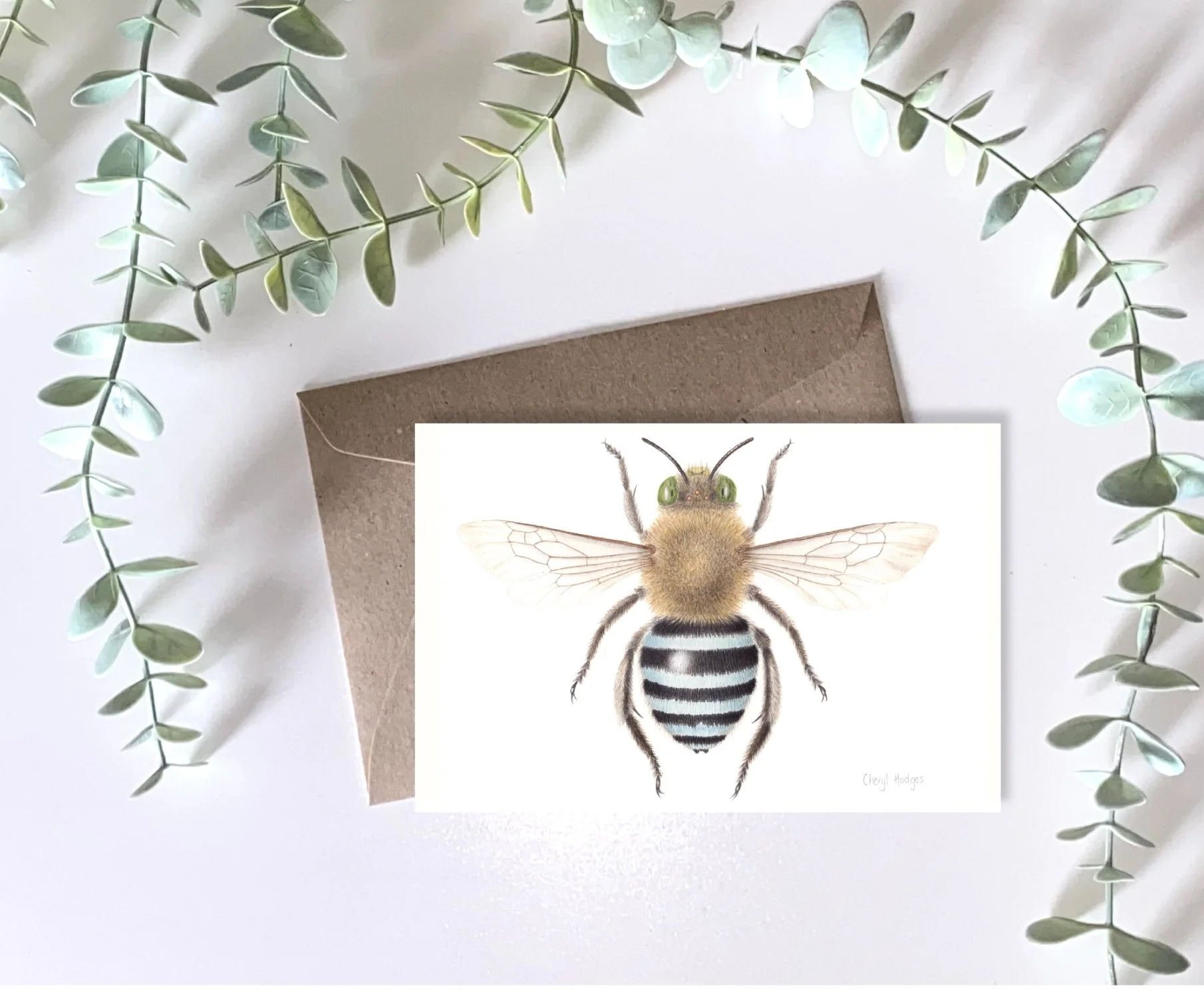 amegilla card mockup front-04.jpg