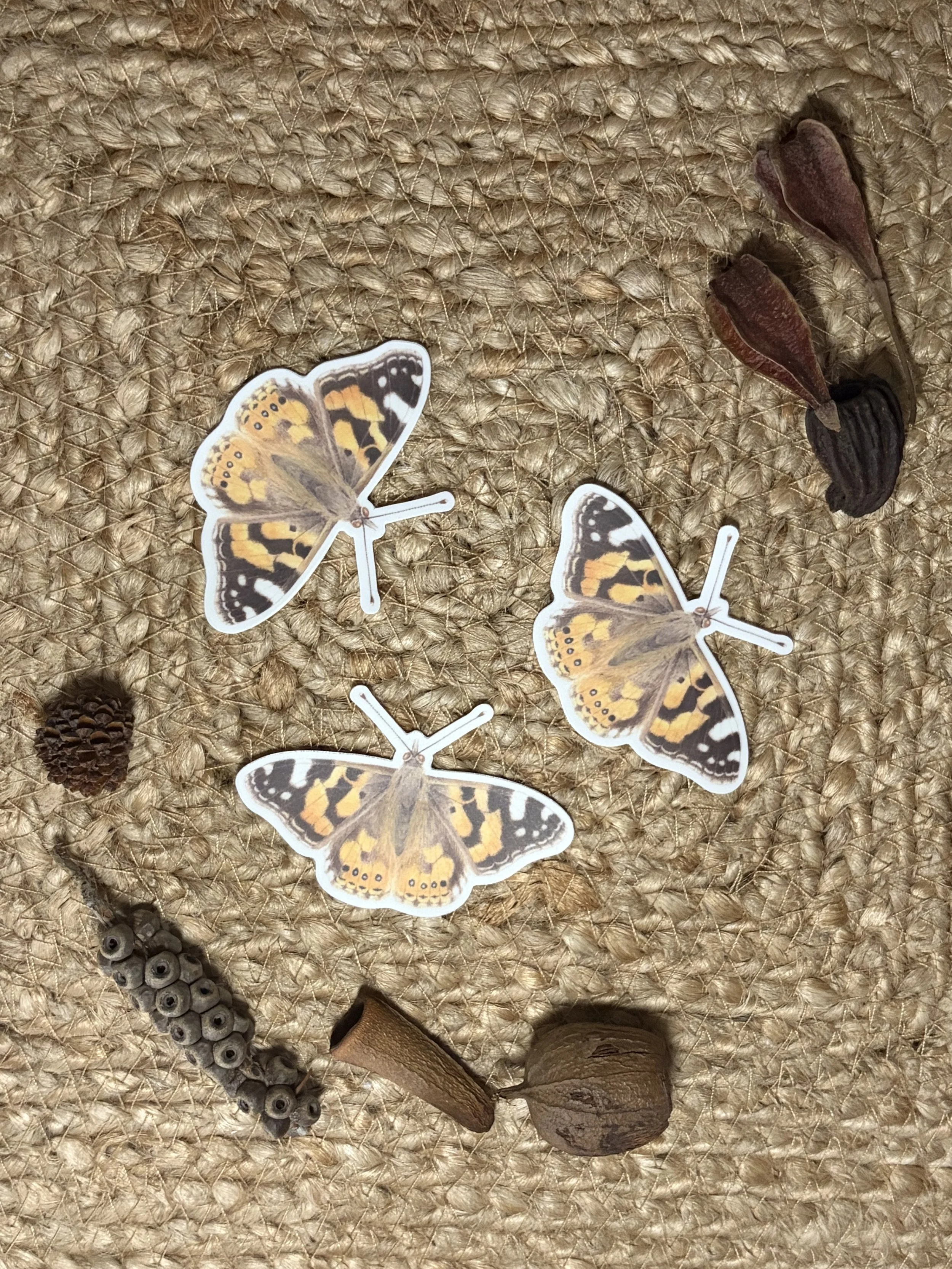 Painted Lady Butterfly Stickers set of 3, Australian native butterfly stickers