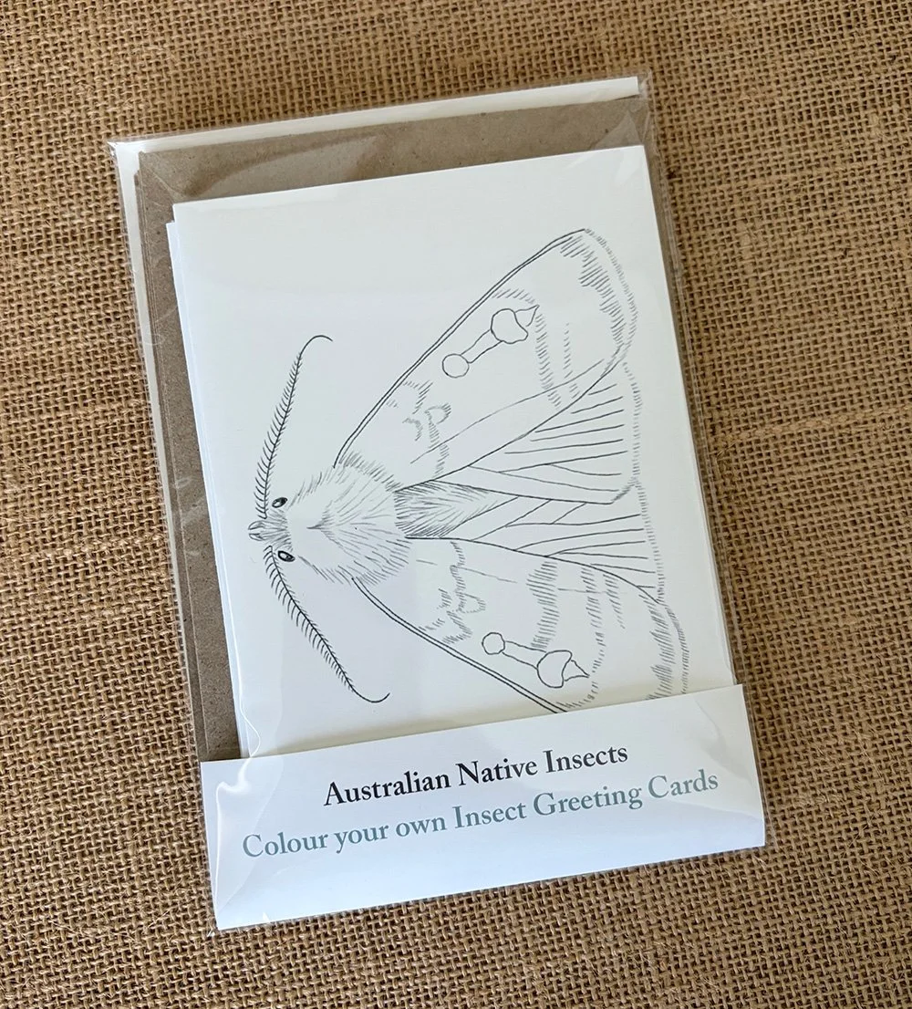 insect colour cards 2026 1.jpg
