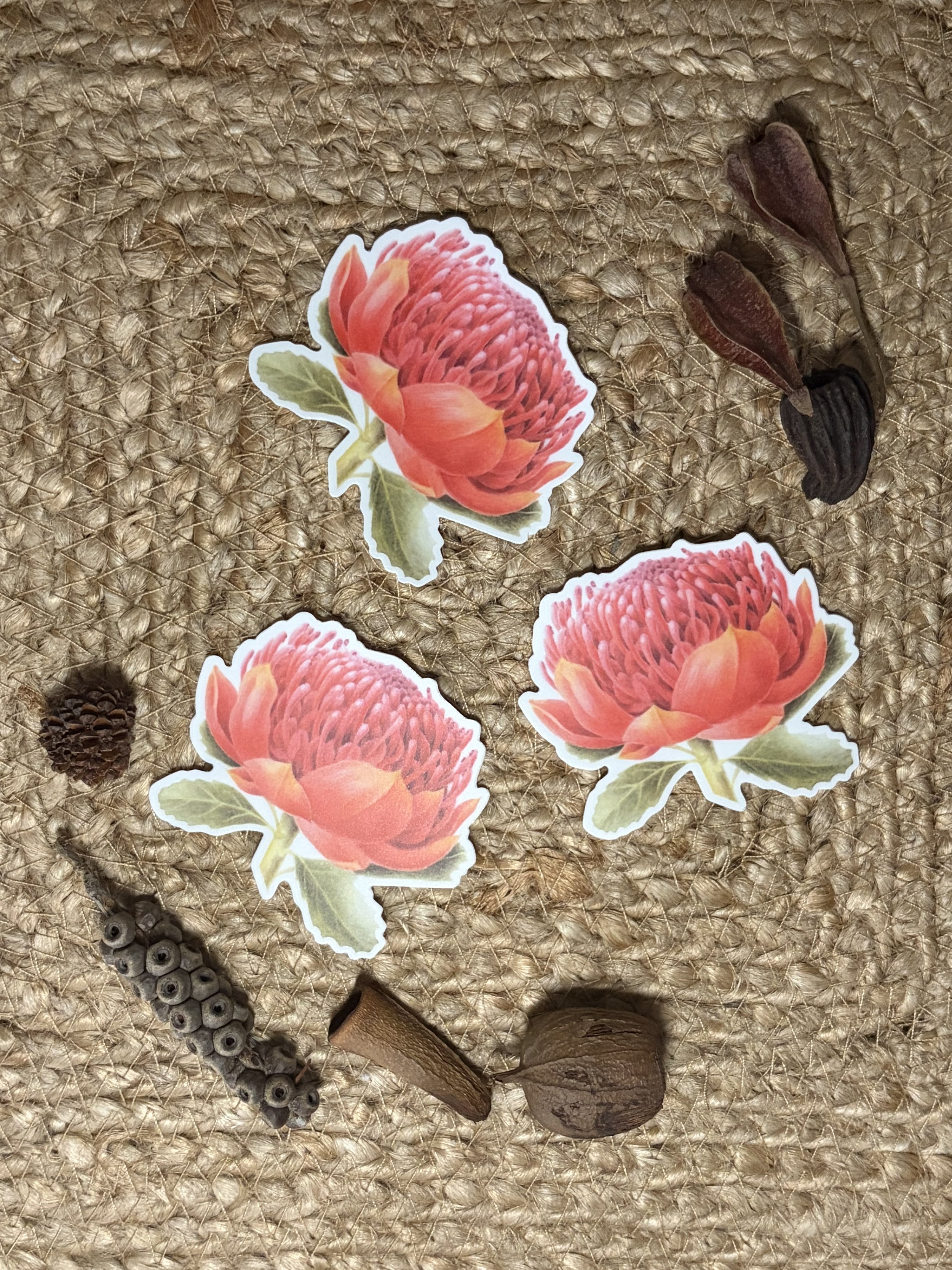 Waratah Stickers set of 3, Australian native plant stickers