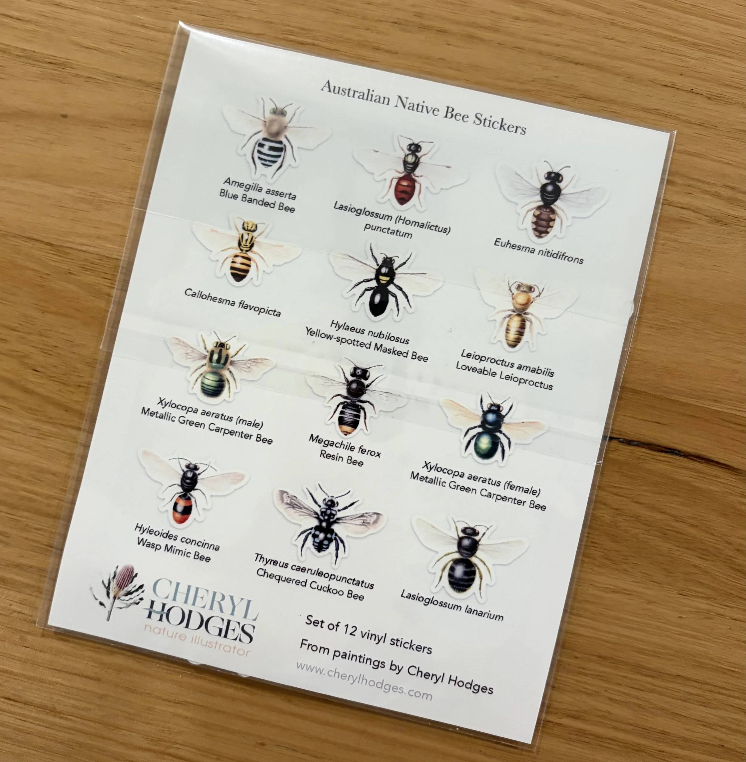 12 bee sticker set 2.jpeg