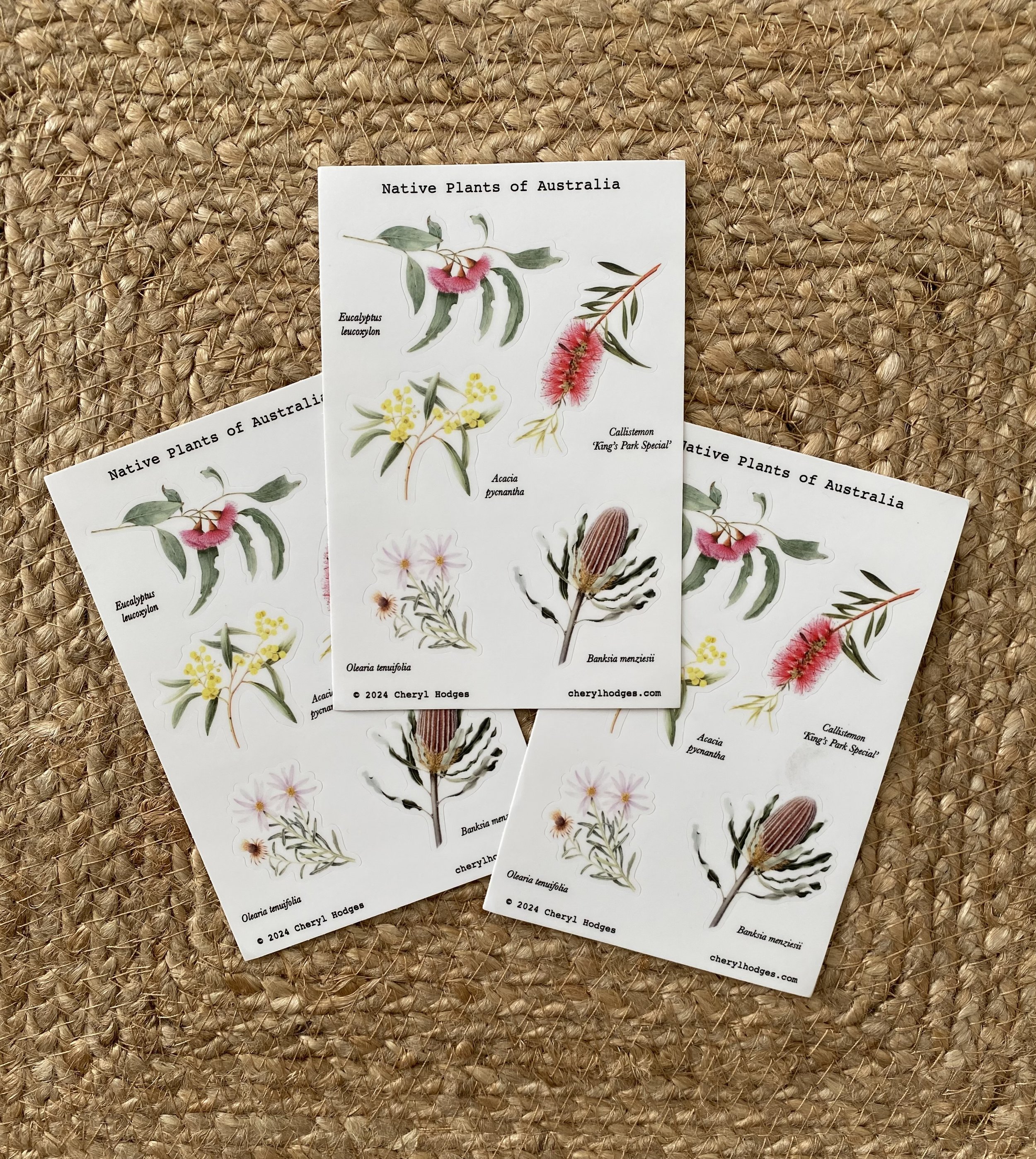 native plant sticker sheet 1.jpeg