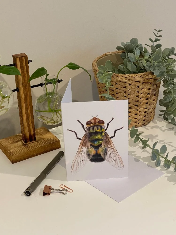 rutilia-sp-card-photo.jpg