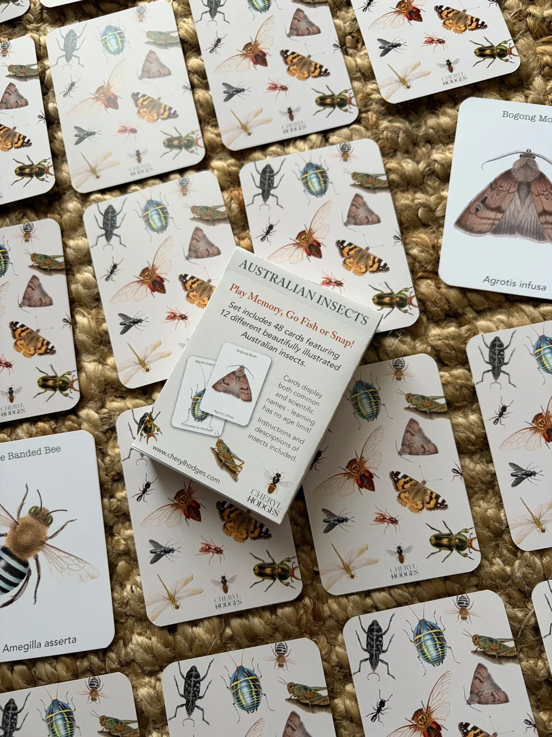 insect memory card photo 2.jpg