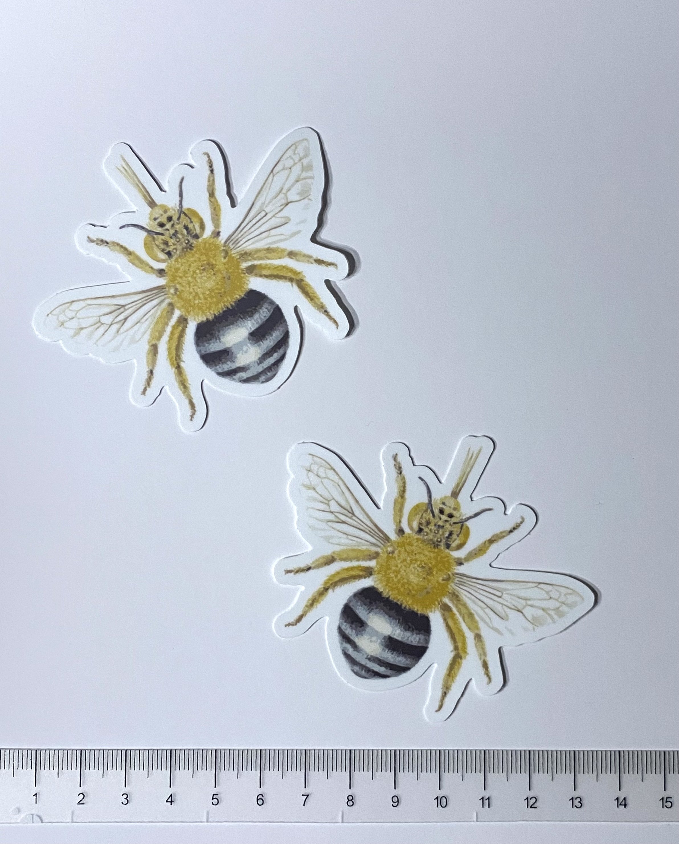 blue banded bee stickers kiss cut 1.jpeg