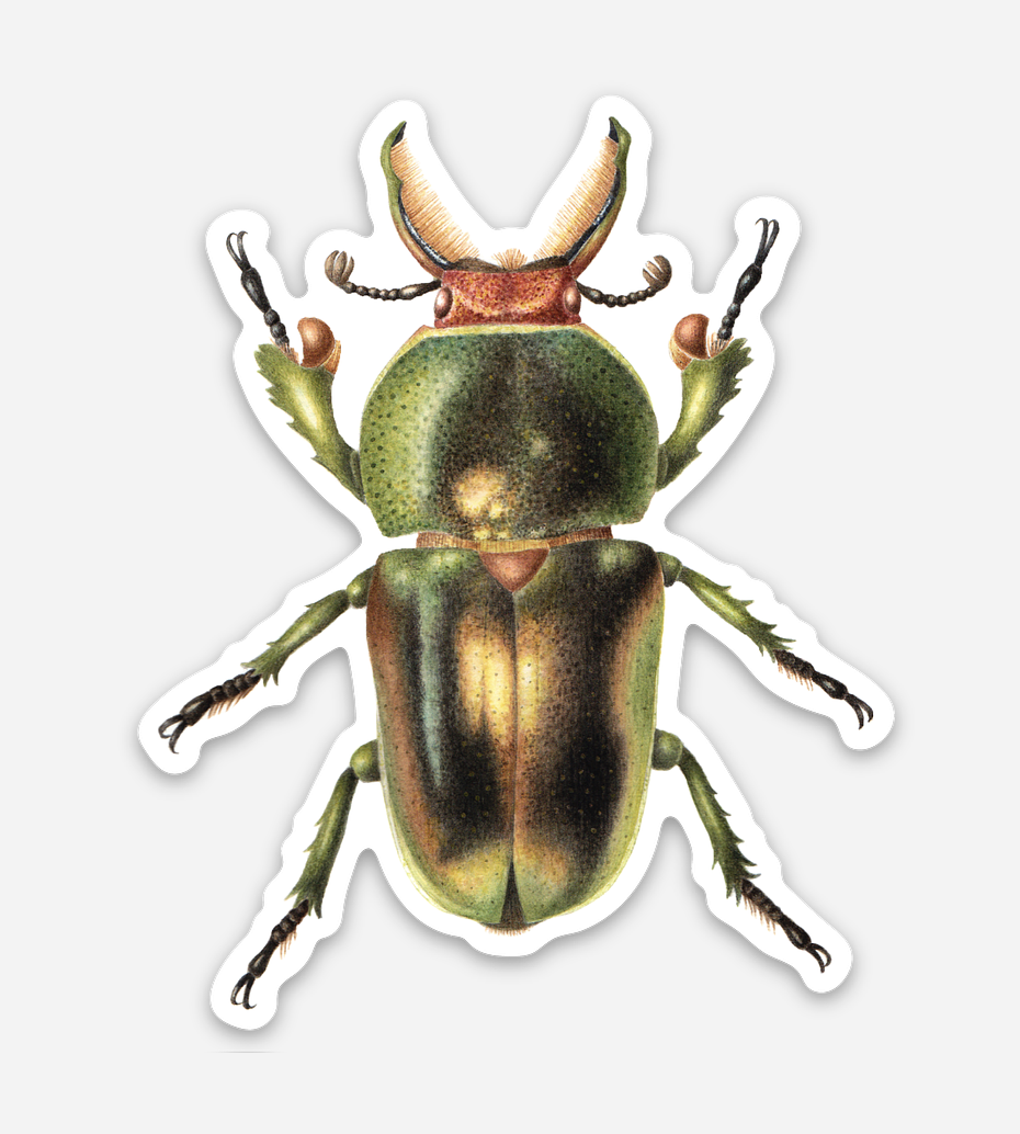 golden green stag beetle sticker 3.png