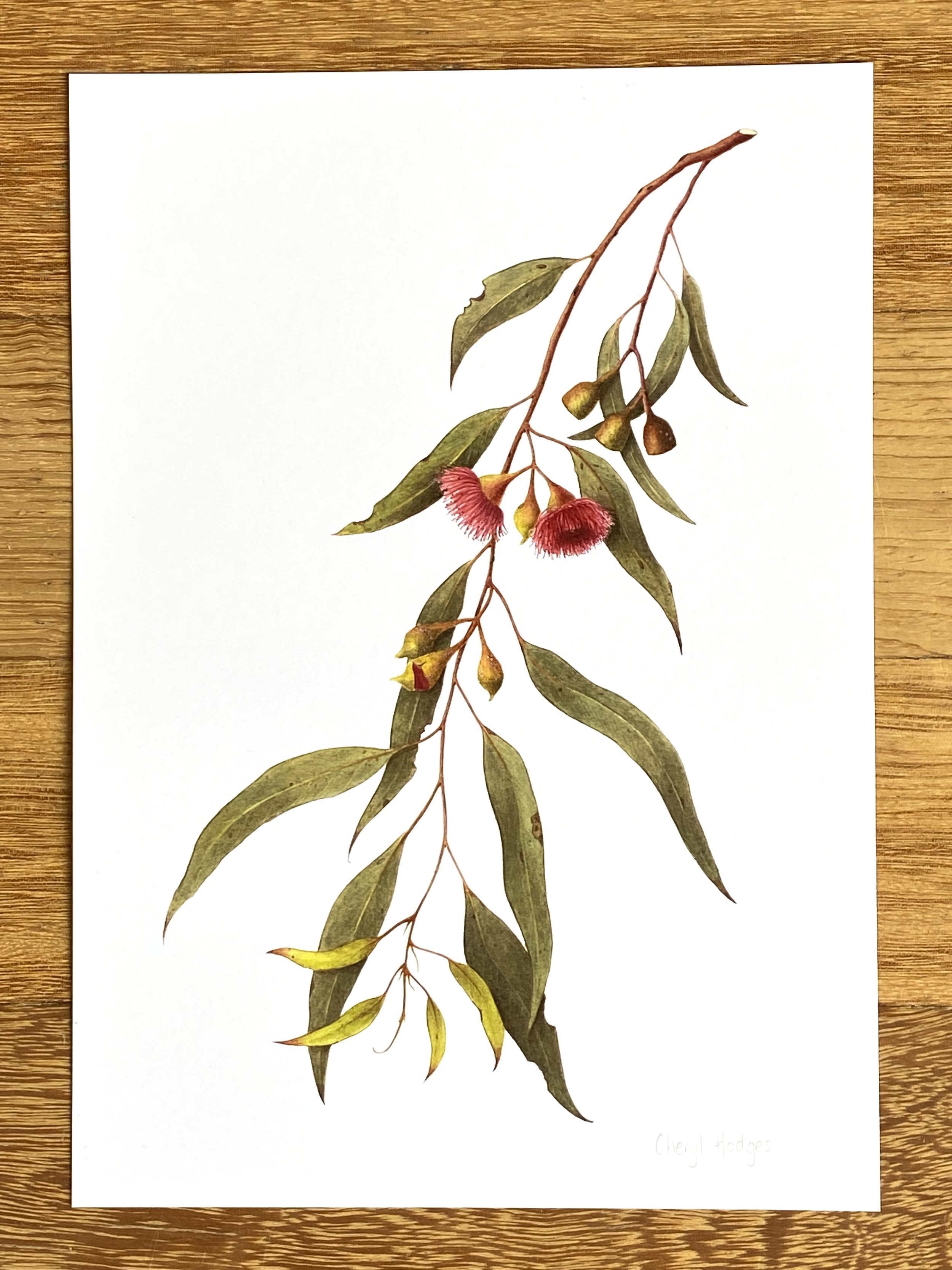 euc leuc 2 flowers mockup.jpeg