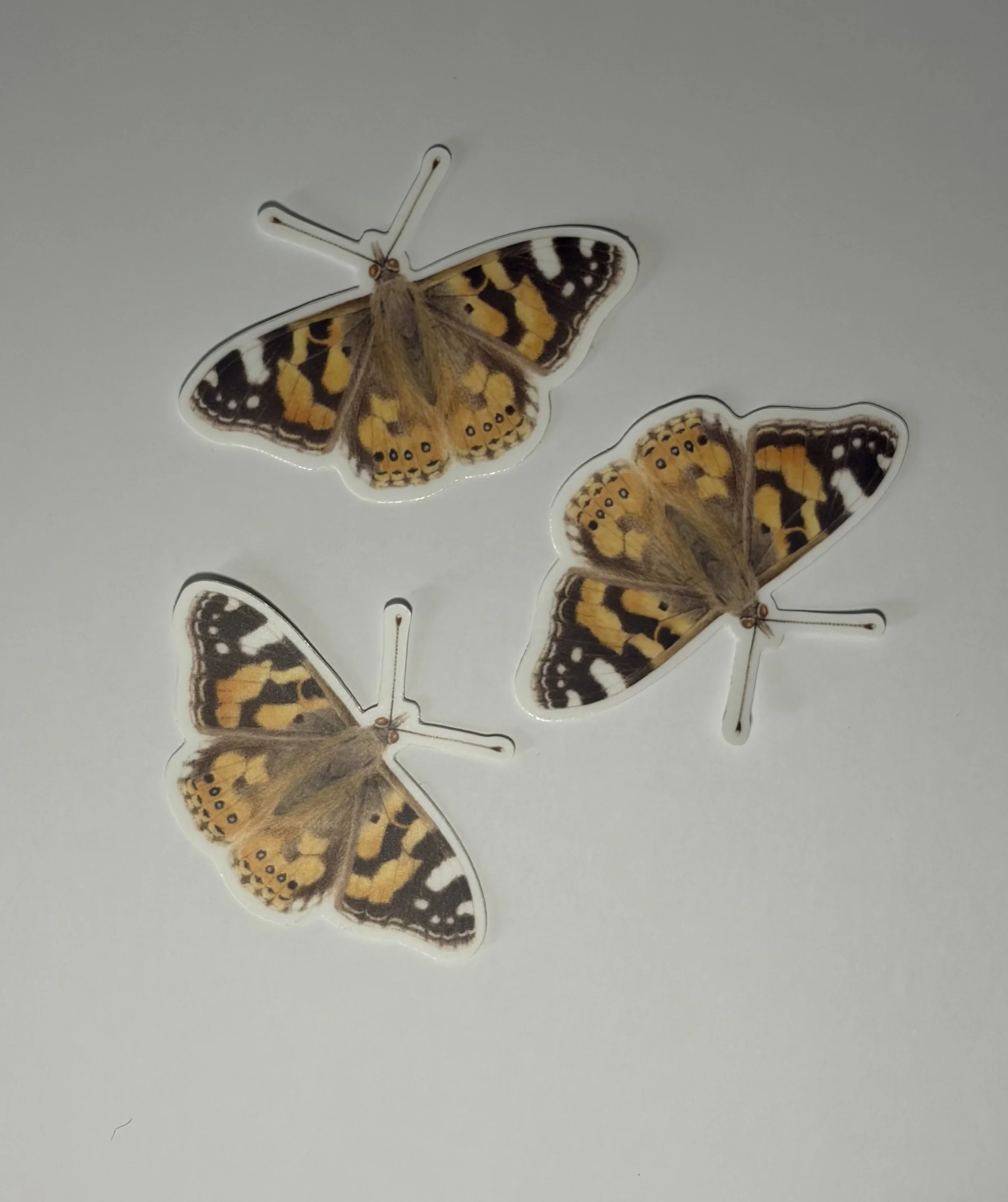 painted_lady_butterfly_sticker 2.jpeg